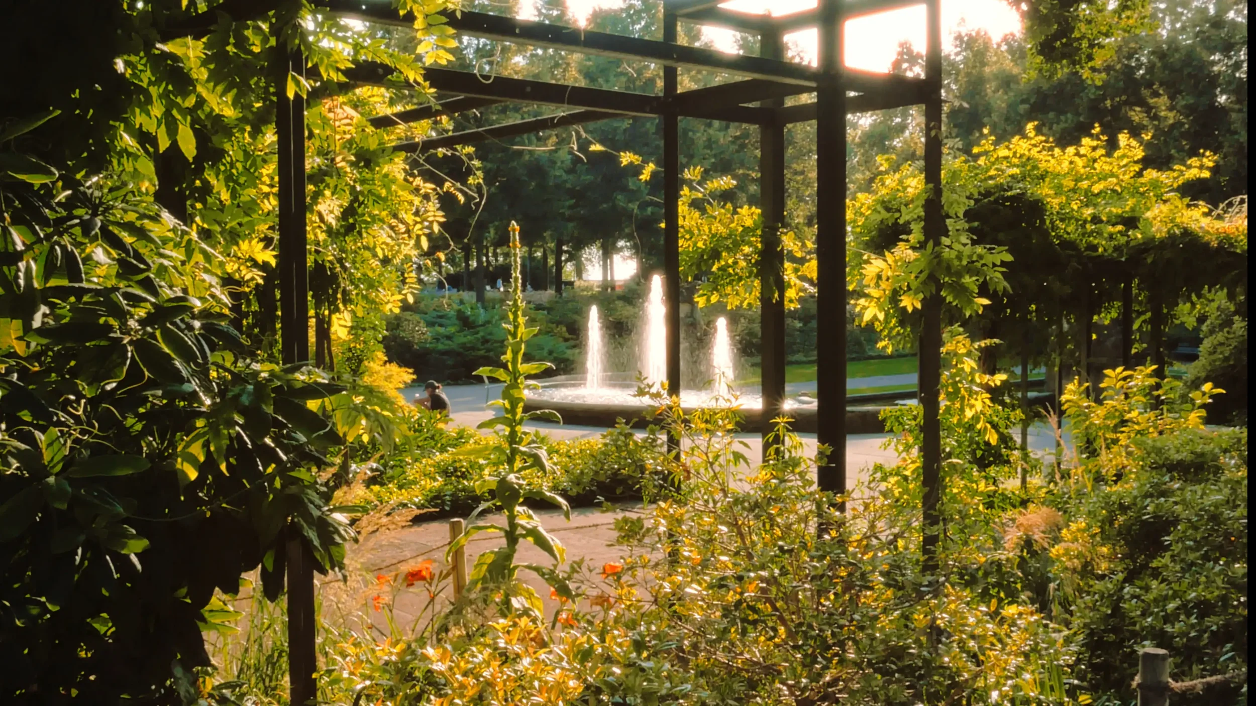Samtlicher Blick auf einen Park mit Brunnen, Wasserfontänen, Bäumen und Sonnenschein im Hintergrund.