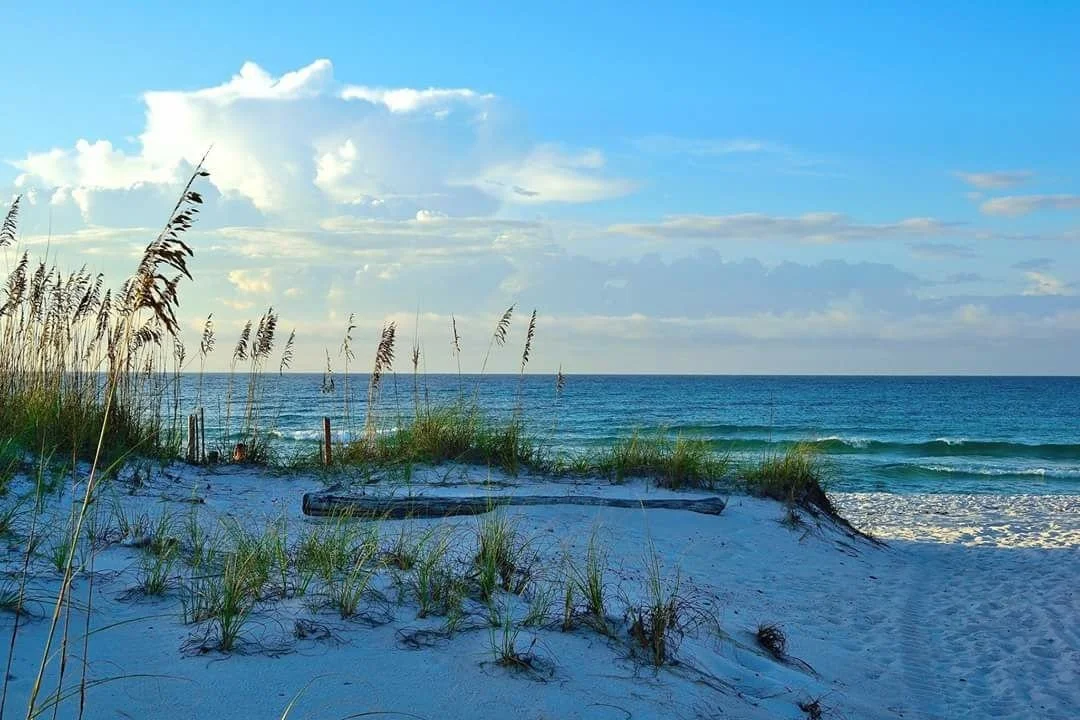 Beach.jpg