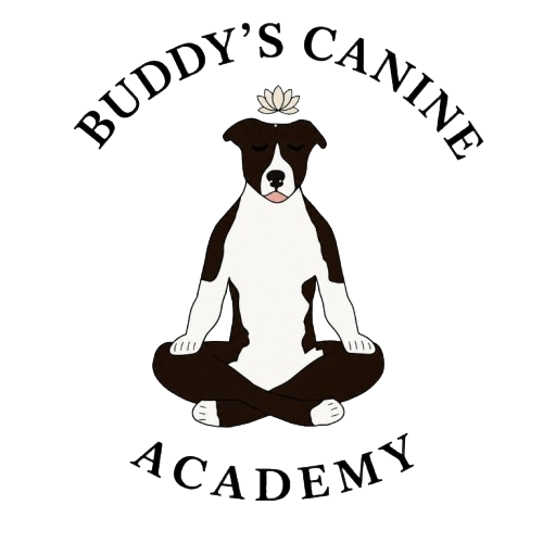 Buddy's Dog Training Company
