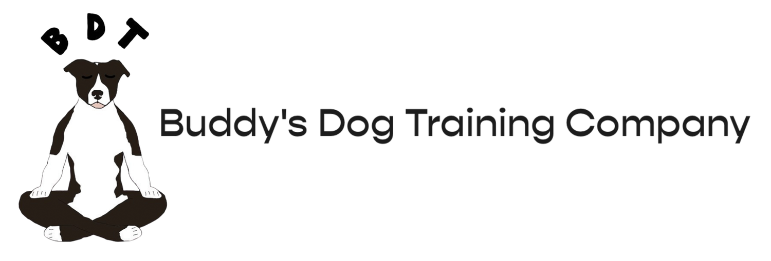 Buddy&#39;s Dog Training Company