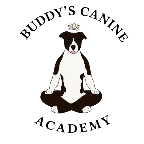 Buddy's Canine Academy