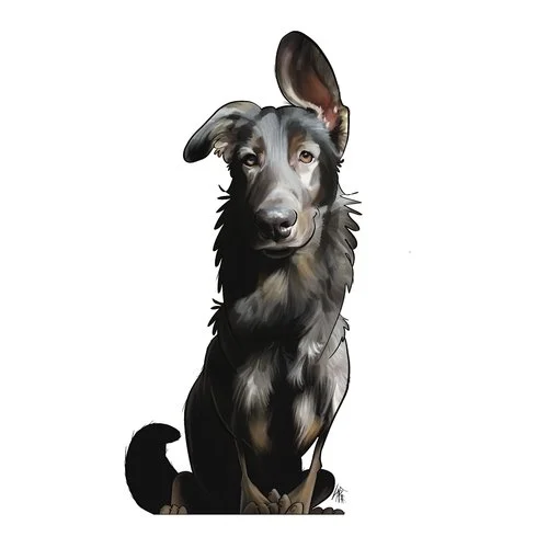 Illustration of a black and gray dog with one ear up and one ear flopped, sitting against a white background.