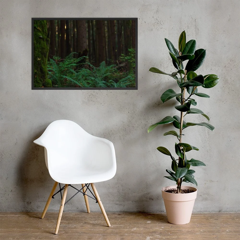 Interior of a modern room with a white chair, a tall potted plant, a concrete wall, and a framed forest photograph.