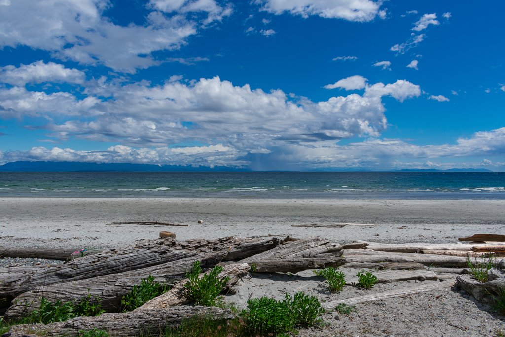 A beach with driftwood and green plants in the foreground, sandy shore, ocean waves, and a partly cloudy sky.
