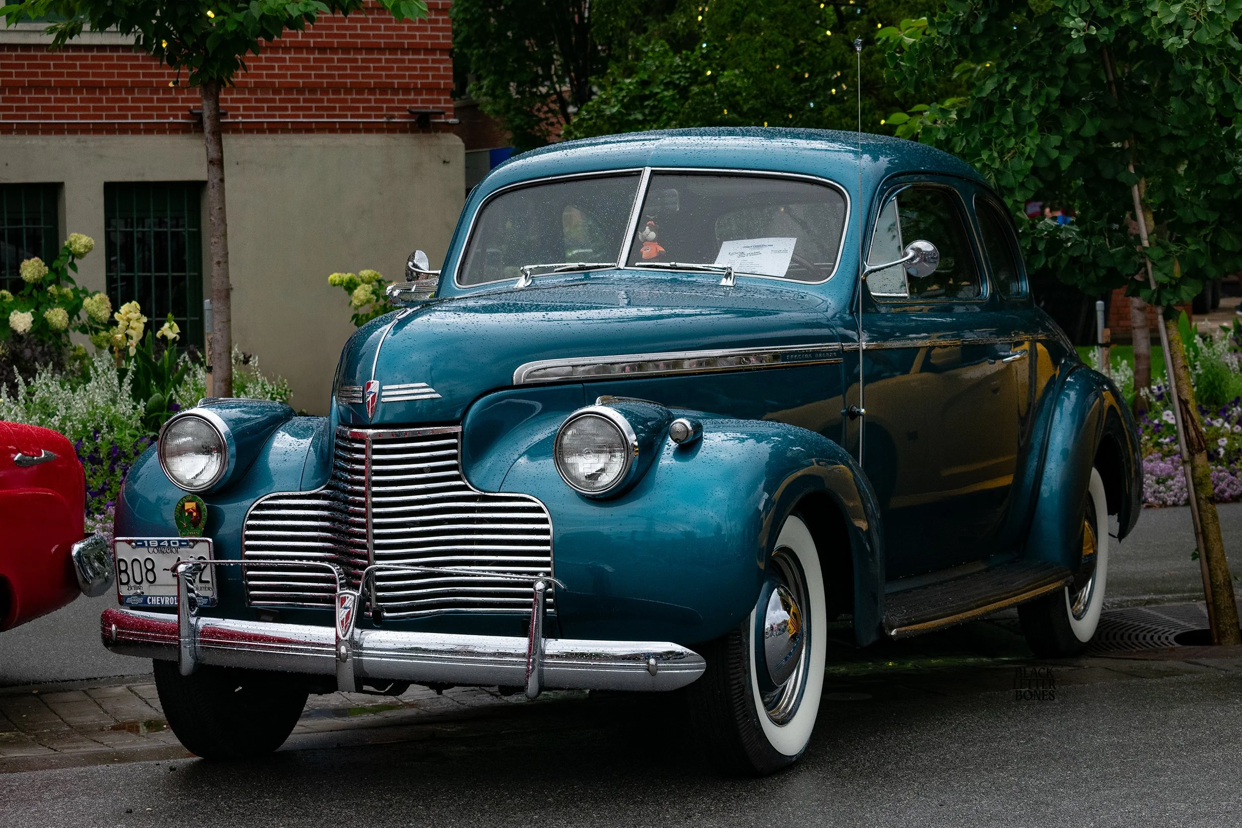 DSC_2646.jpg