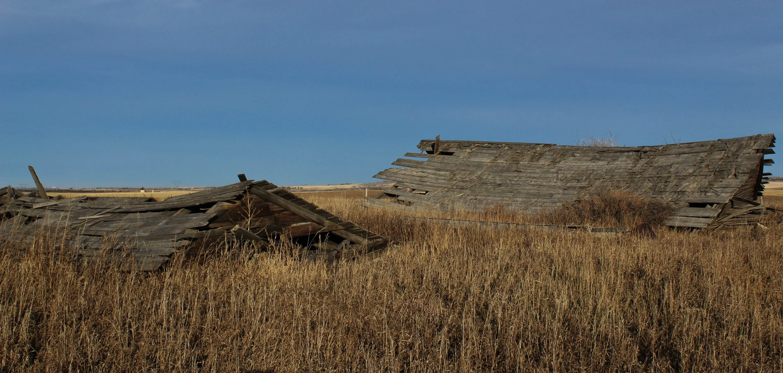 Dilapidated old wooden barn in a field of tall, dry grass under a blue sky.