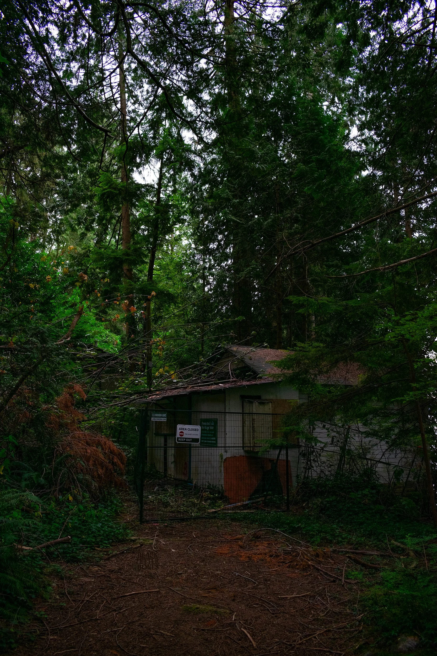 An overgrown, abandoned house behind a locked gate in a dense forest, with a sign indicating the area is closed.