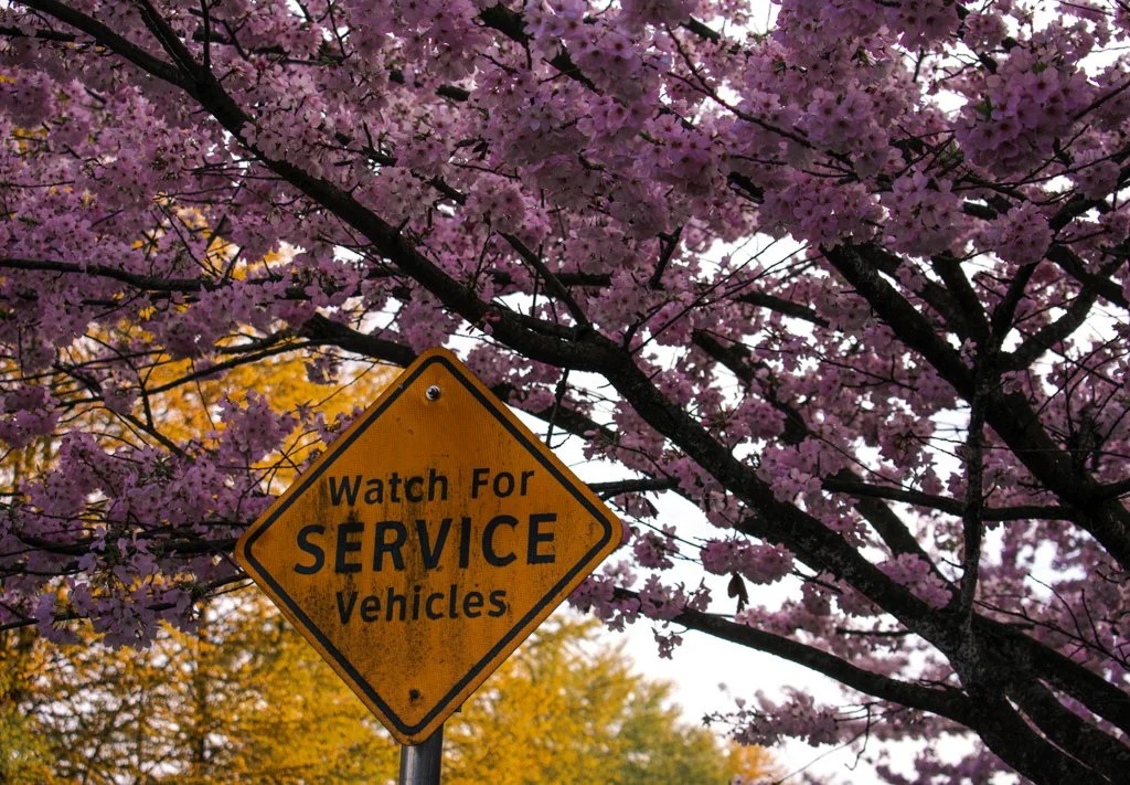 A yellow road sign that says "Watch For Service Vehicles" is in front of a tree with pink blossoms, under a partly cloudy sky during daytime.