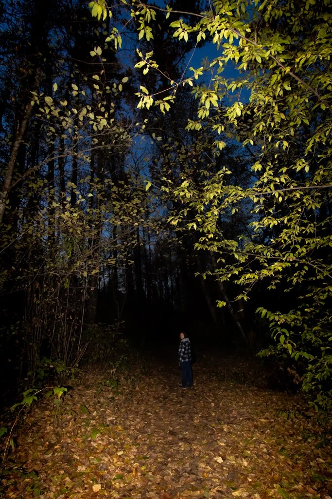 Person standing on a leaf-covered forest trail at dusk, surrounded by tall trees with yellow-green leaves.