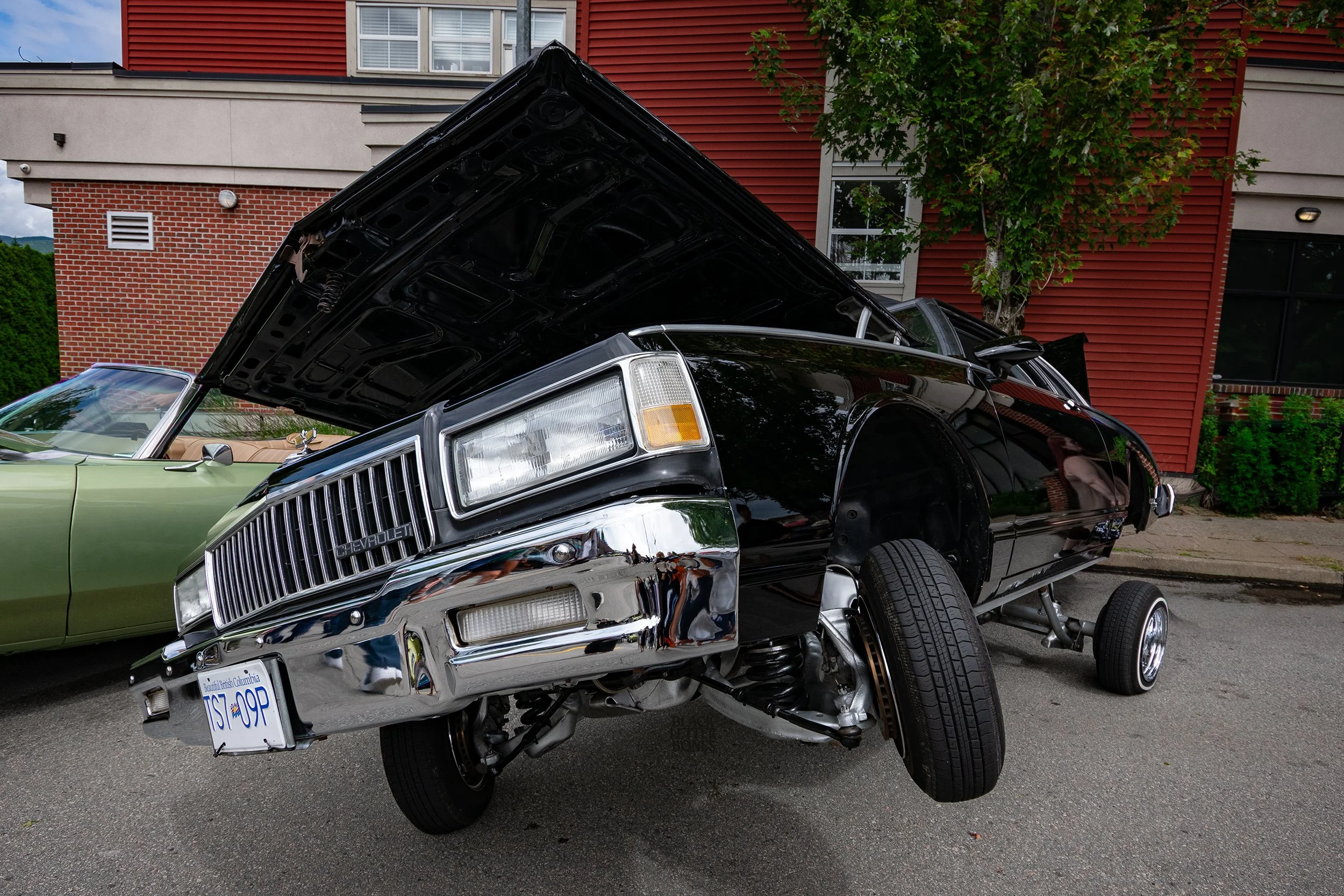 DSC_5448.jpg
