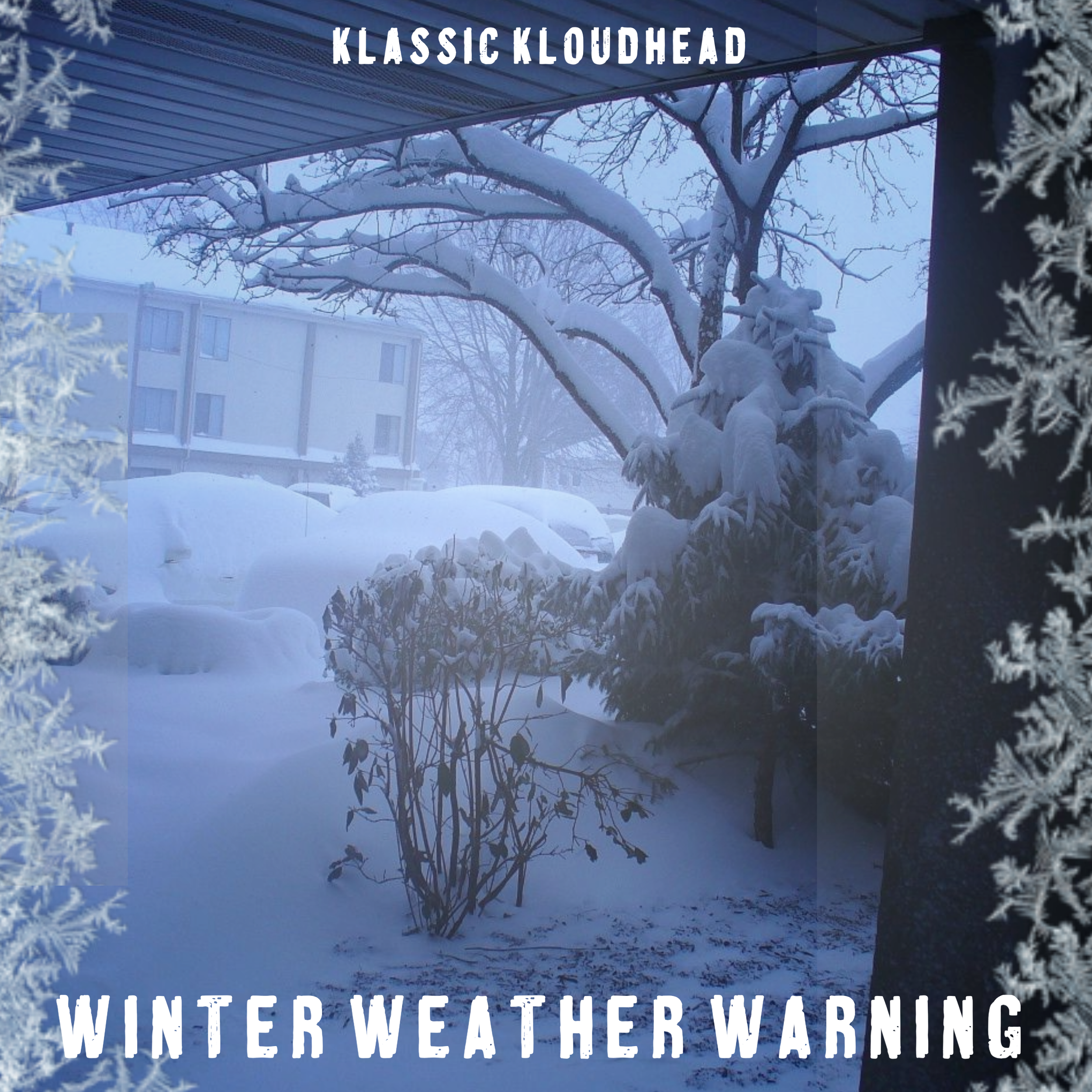 2023: FORWARD MOMENTUM