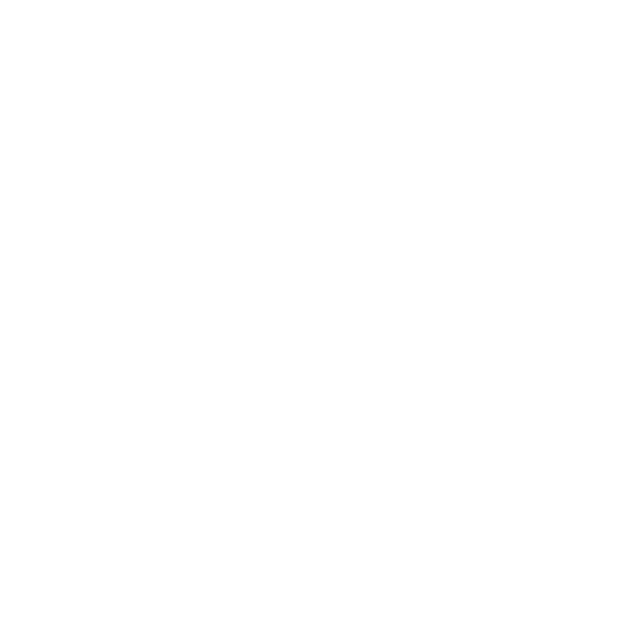 Grace Verbic