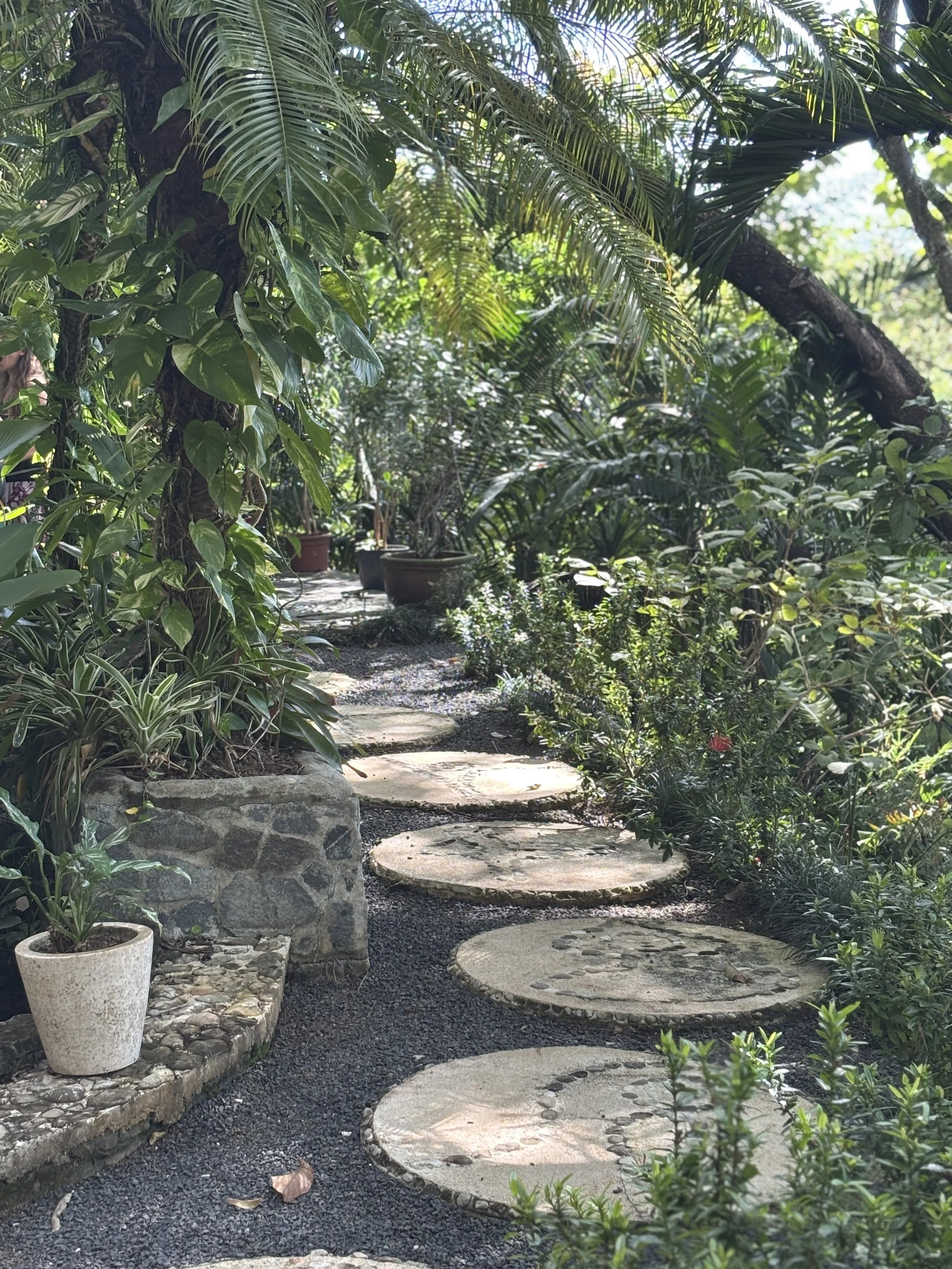 A pathway made of circular stepping stones through a lush green garden with tall plants, trees, potted plants, and some rocks, illuminated by sunlight.