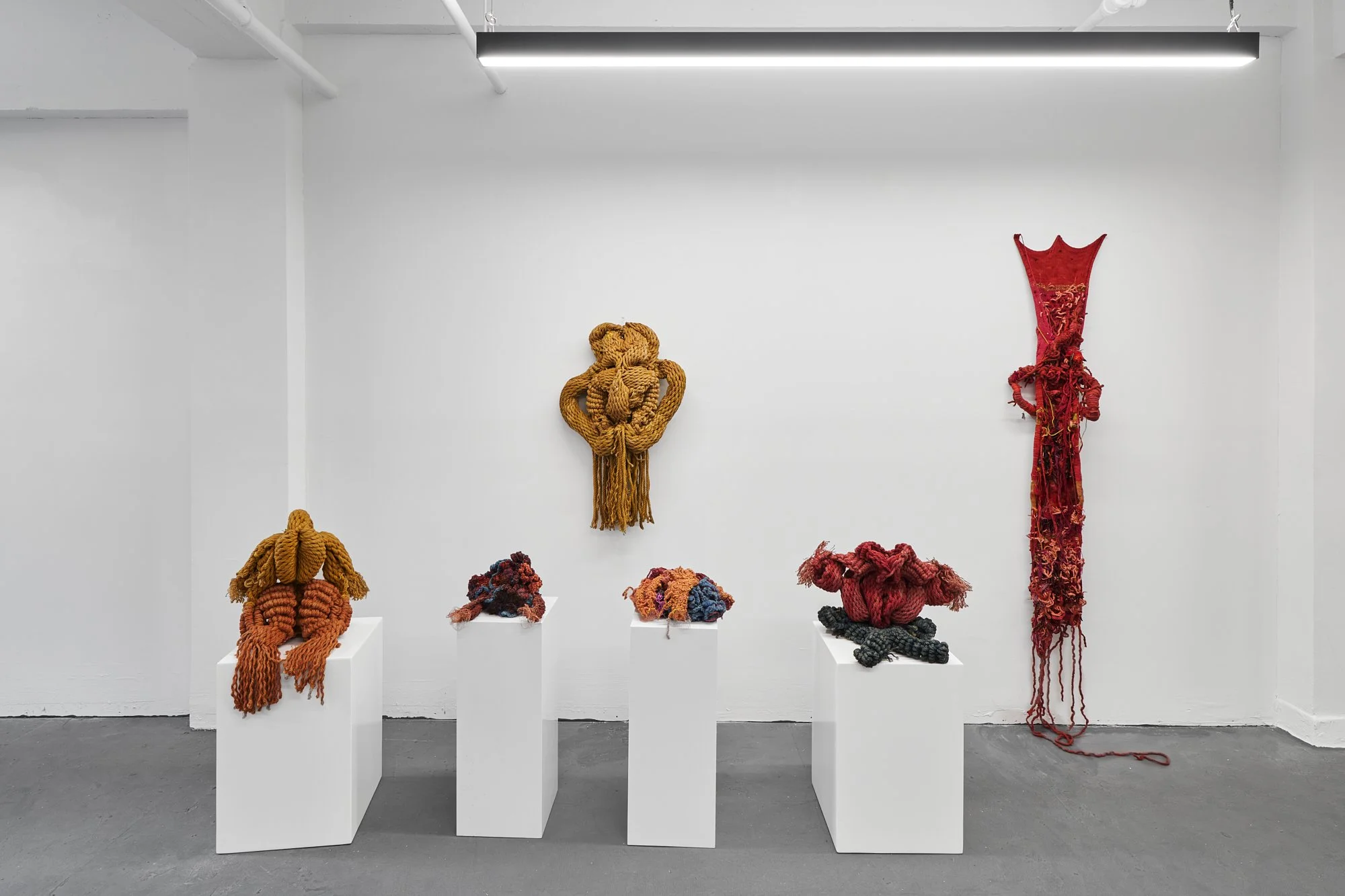 Photo by Kunning Huang