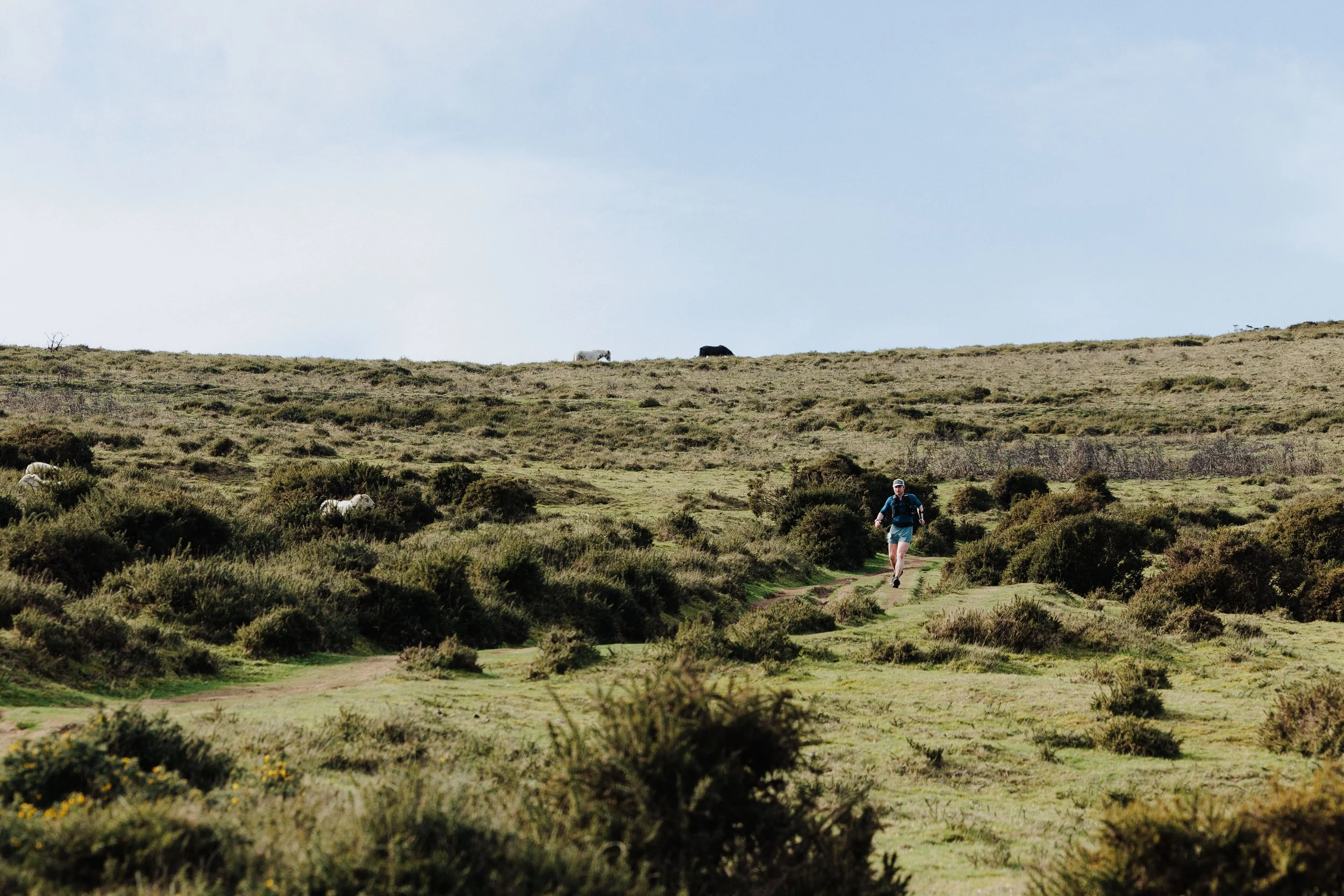 Hammeldown Hammer Trail Running Dartmoor-7.jpg