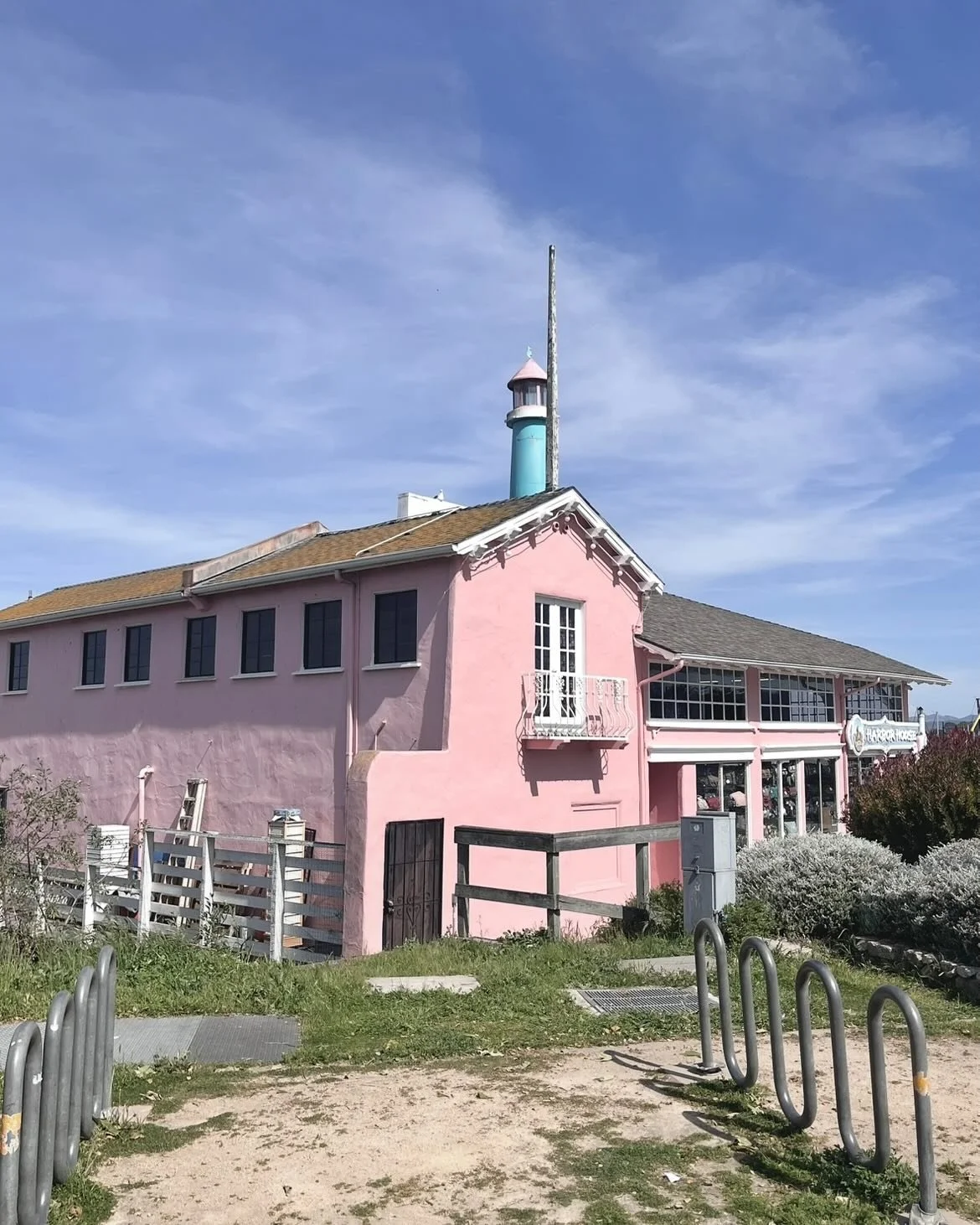 searching for pink in a sea of blue 🎀🌊🫧