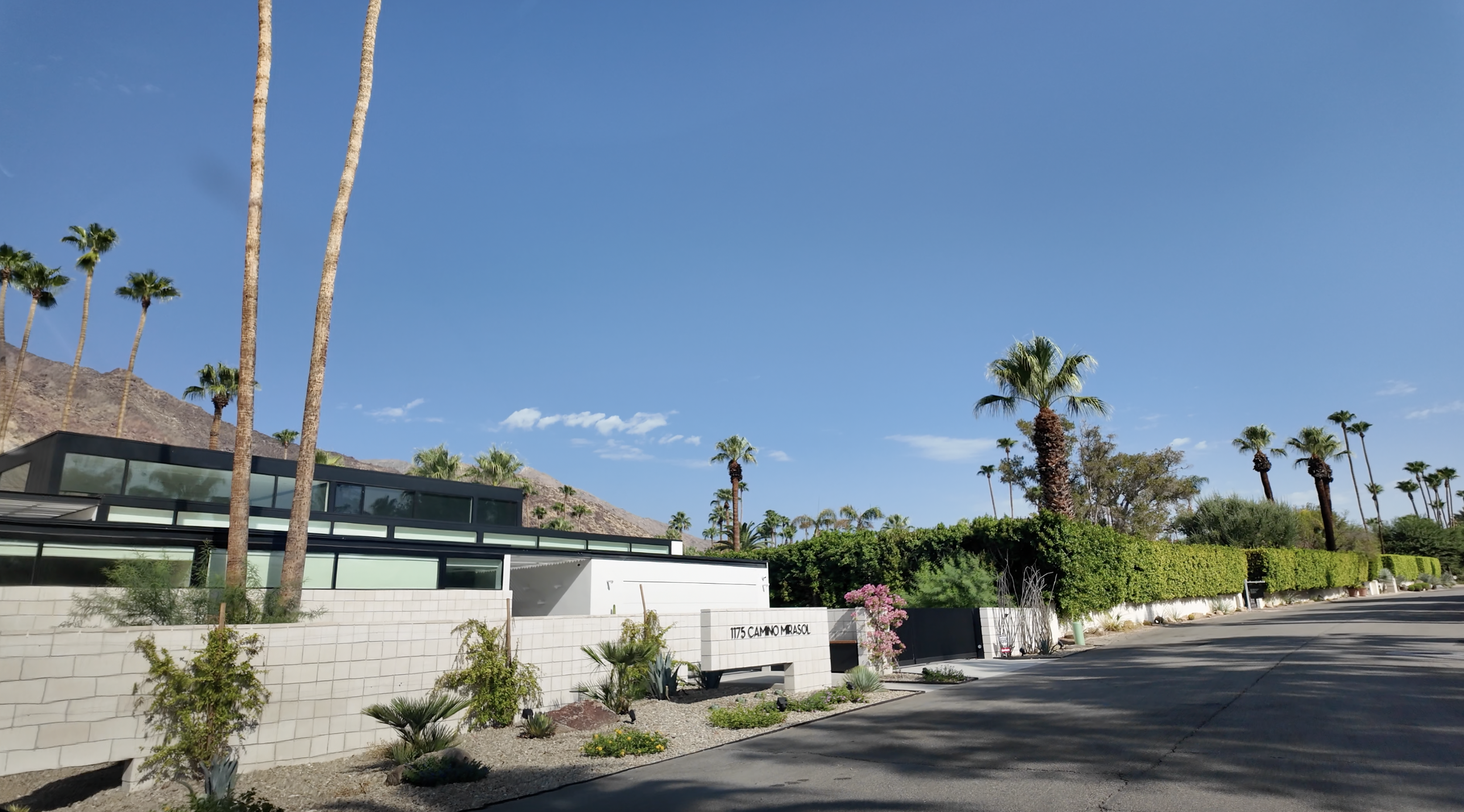 Old Las Palmas mid century contemporary .png