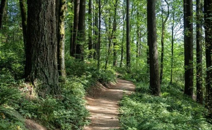 Difficult Medical News—A Letter to Our Church Family