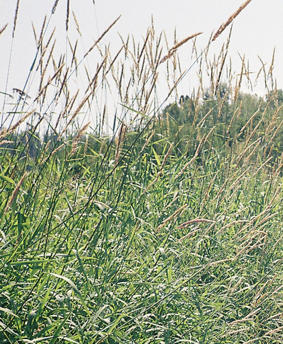 Screenshot 2025-04-17 at 12.43.02 PM.png