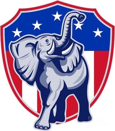 John Schmitz for Congress
