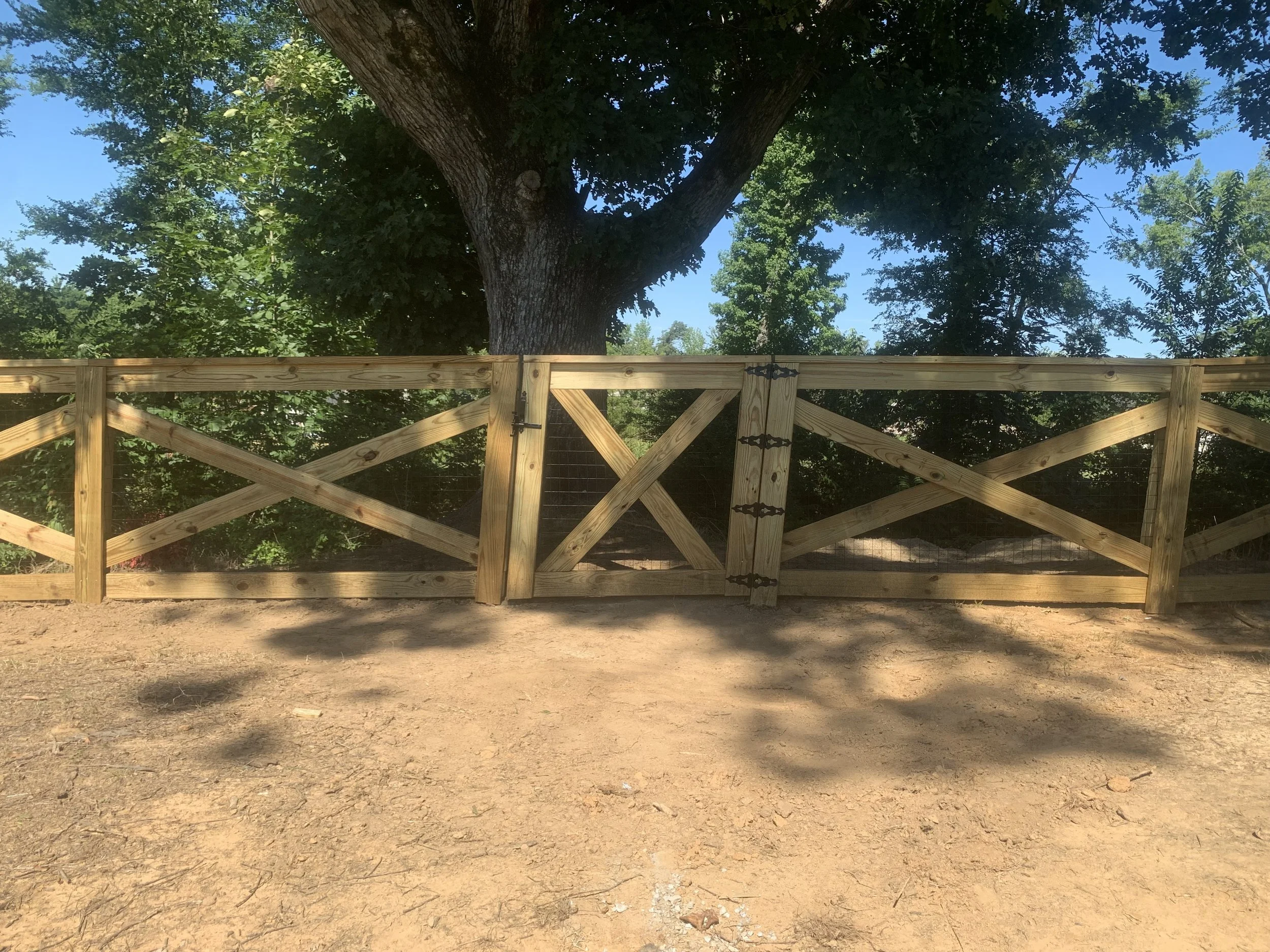 A wooden fence in front of a large tree with green maples leaves and shadows on the ground, under a clear blue sky.