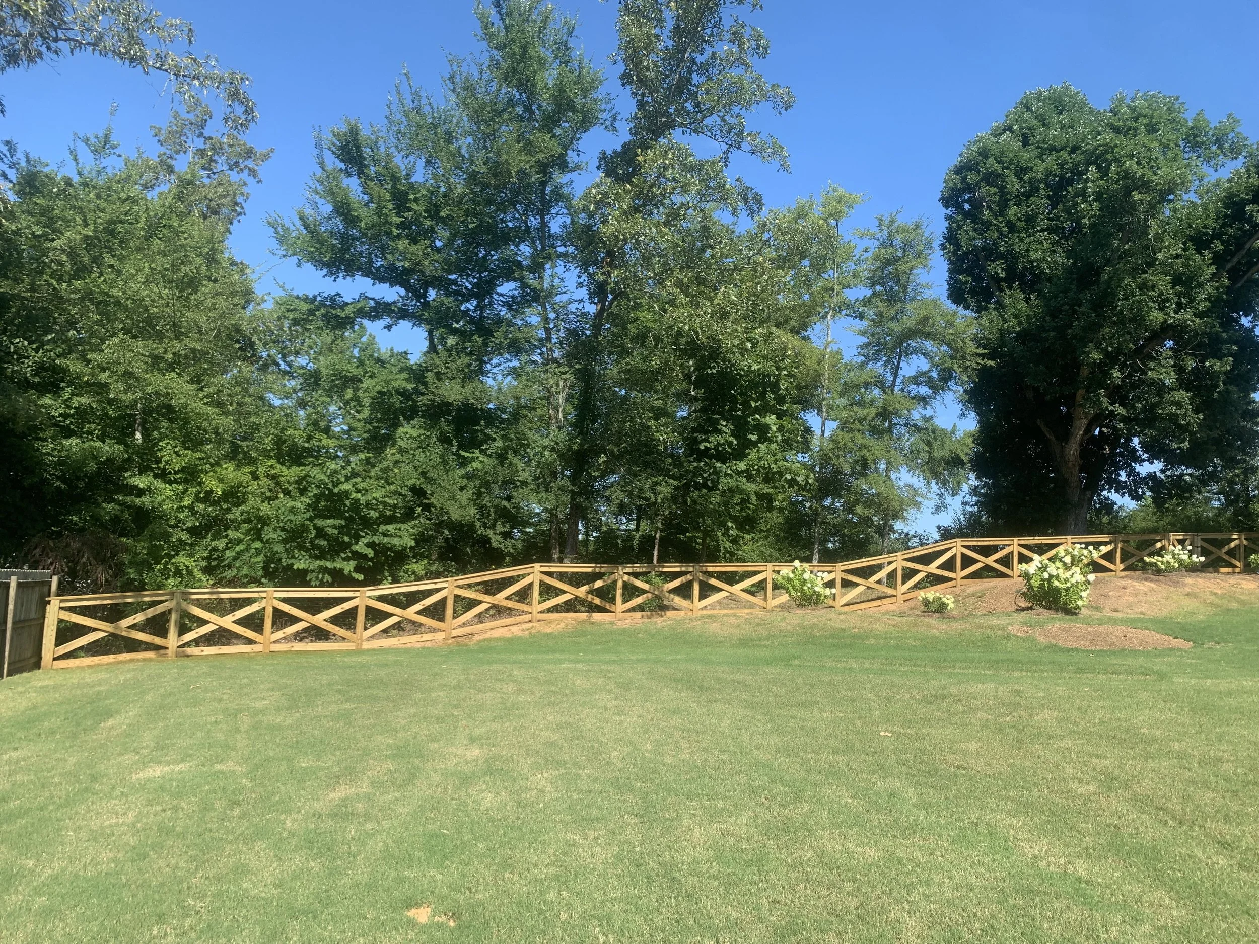 A grassy yard with a wooden fence running across the background, surrounded by trees with green foliage and a clear blue sky.