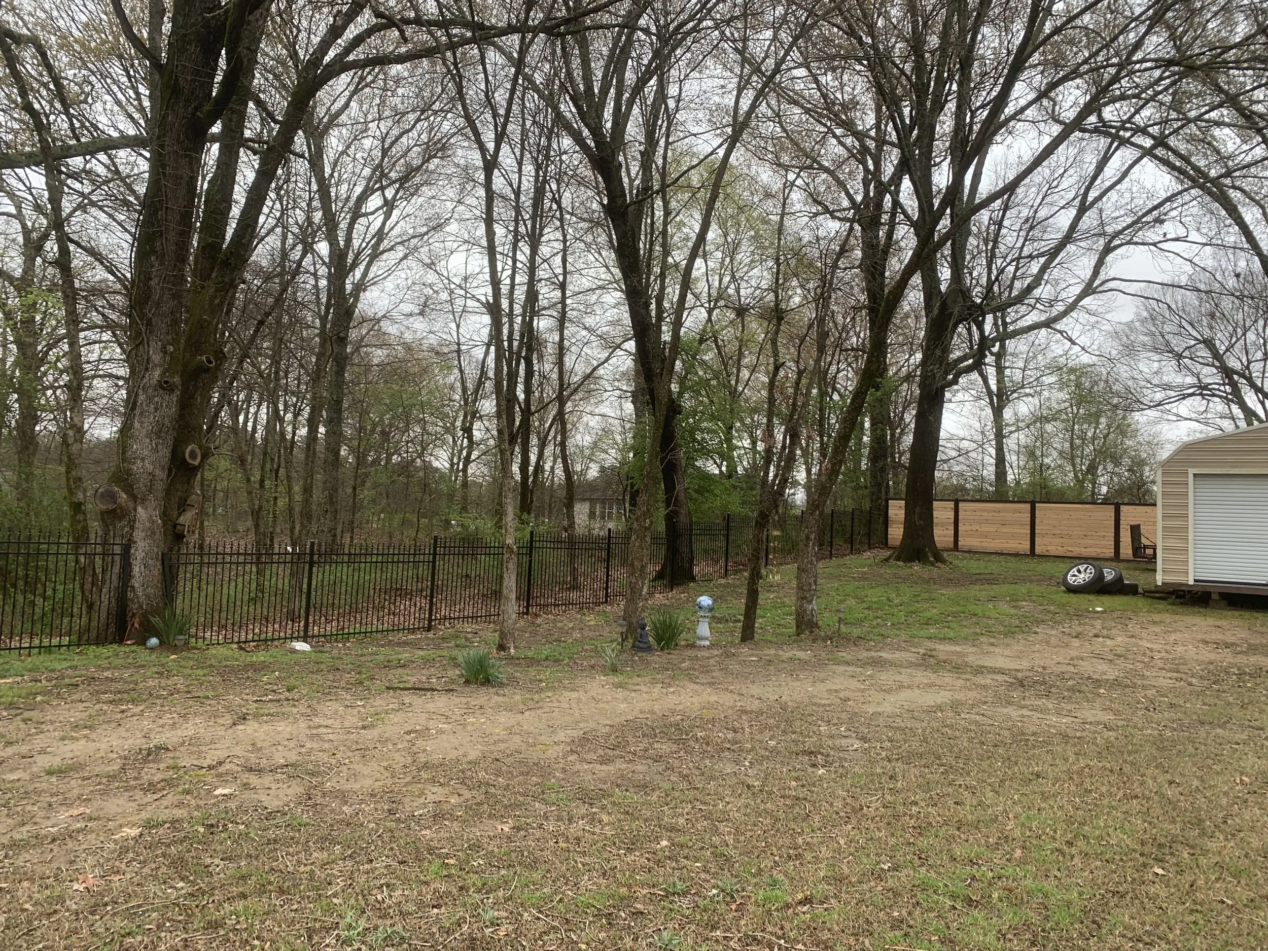 A backyard with trees, a black metal fence, a shed, a wooden fence, and some yard decorations including a tire and a small statue.