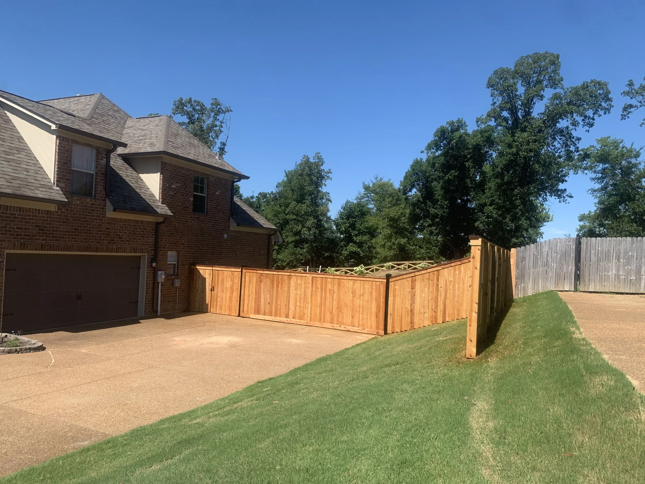 Residential backyard with a newly installed wooden privacy fence and a green lawn on a sunny day.