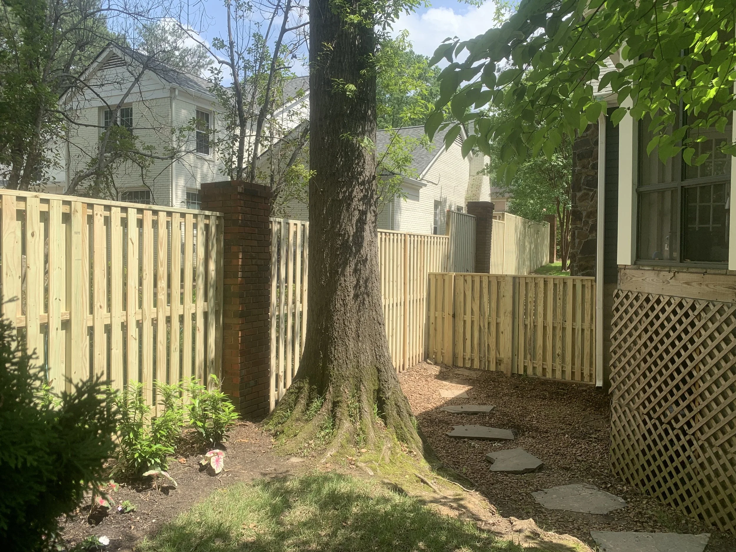 Backyard with large tree, fence, and stepping stones.