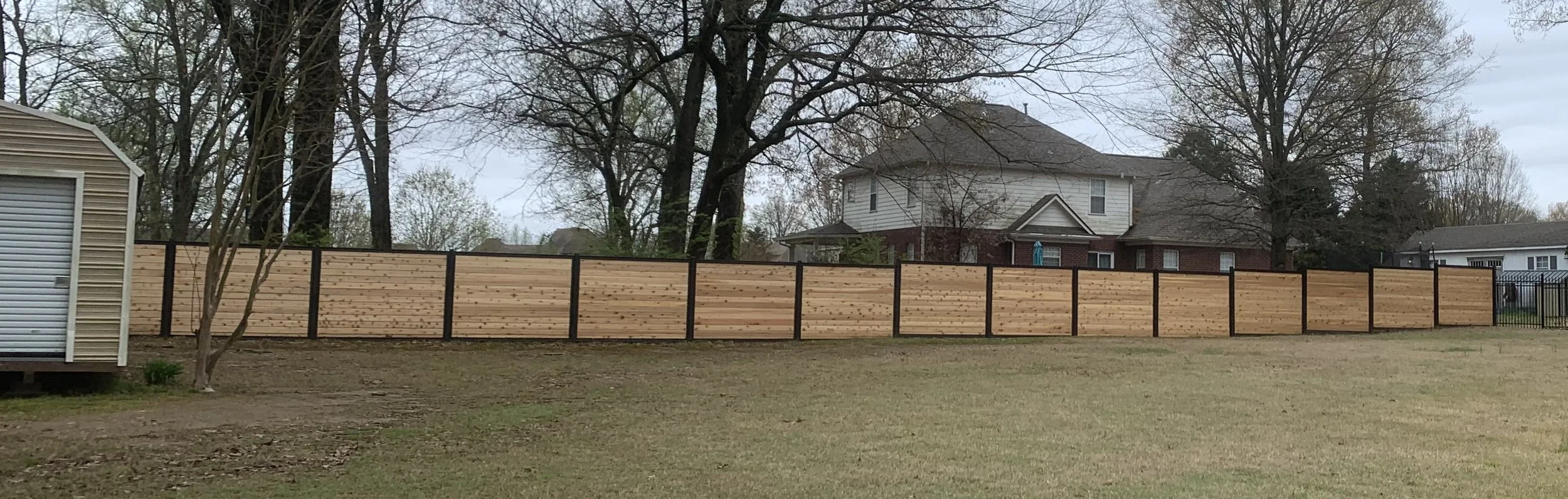 A backyard with a wooden privacy fence, a shed on the left, a house with a gabled roof in the background, and several large leafless trees.