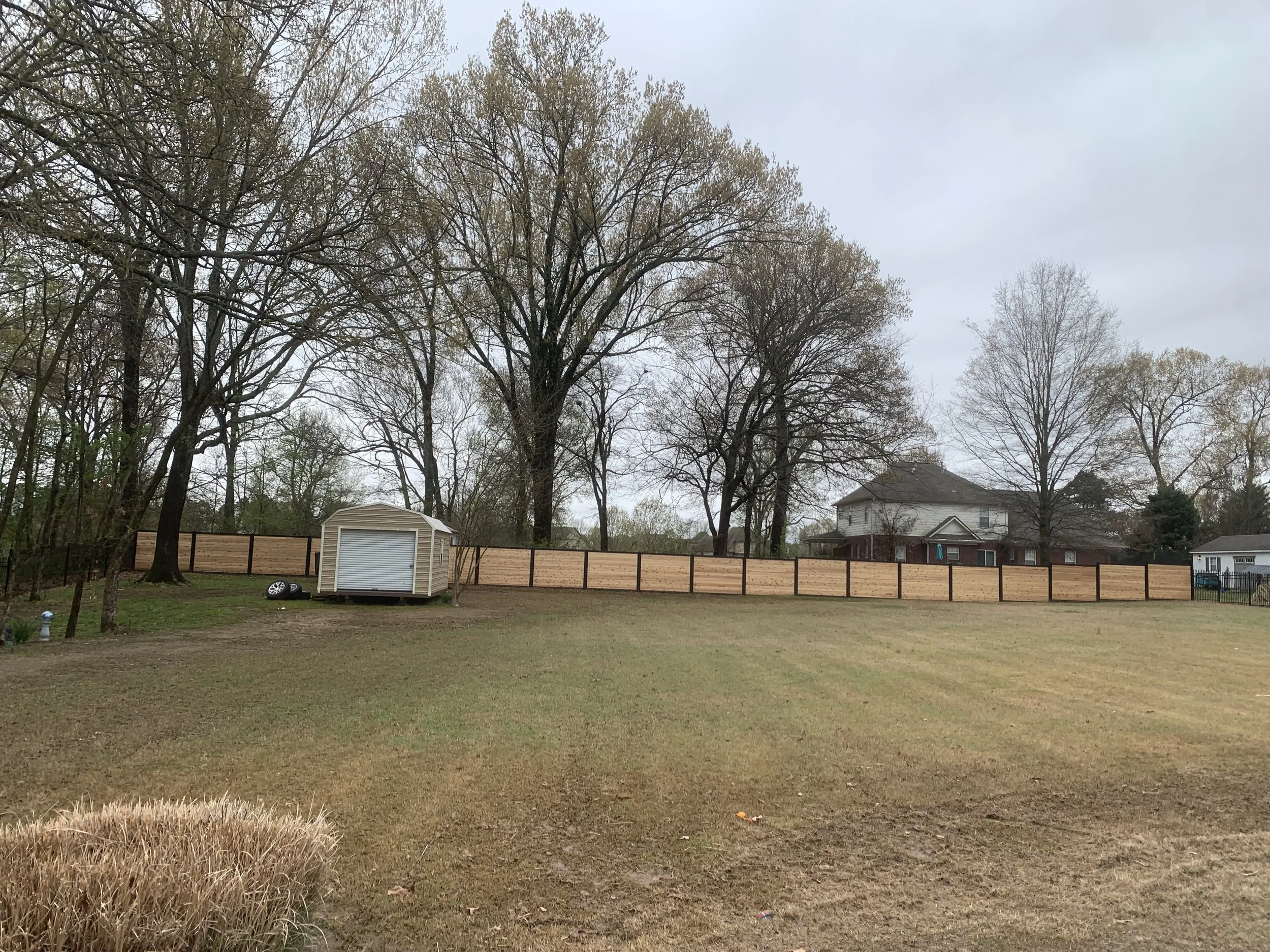 A backyard with a tan wooden fence, large leafless trees, a beige shed, and a house in the background.
