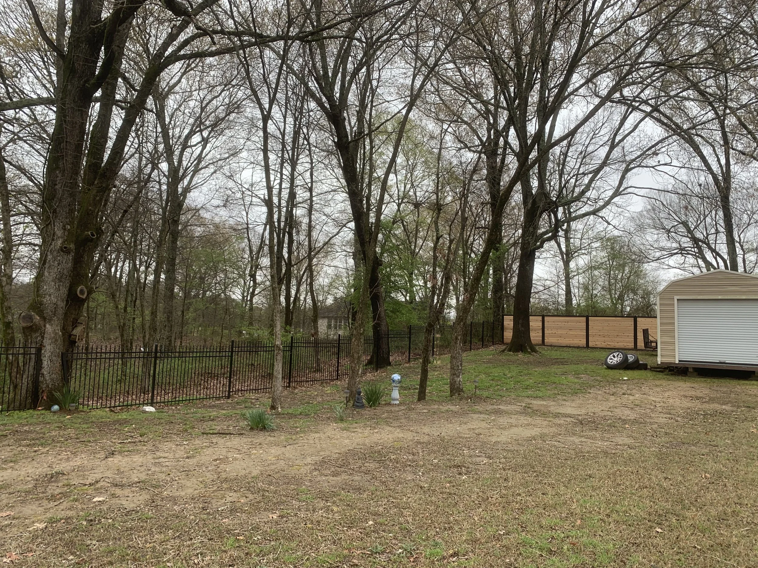 Backyard with trees, a black metal fence, a beige shed, and a stack of tires on the grass.
