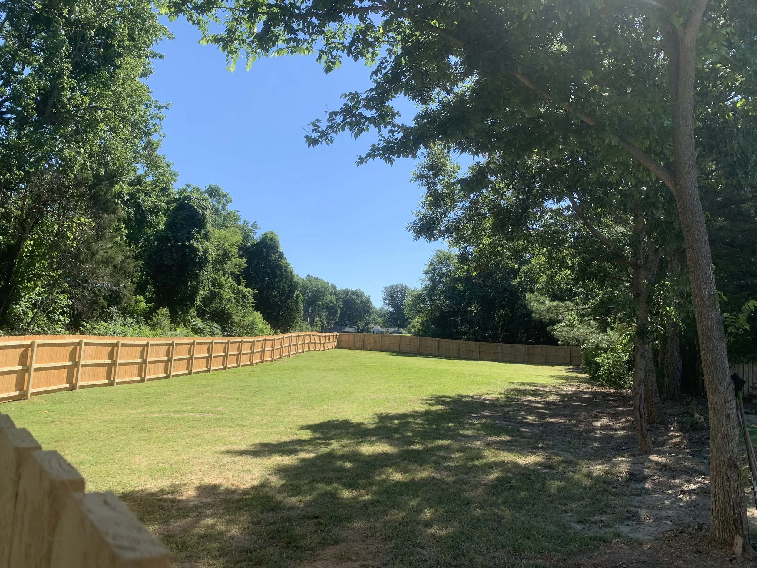 A fenced backyard with green grass, trees, and a clear blue sky.