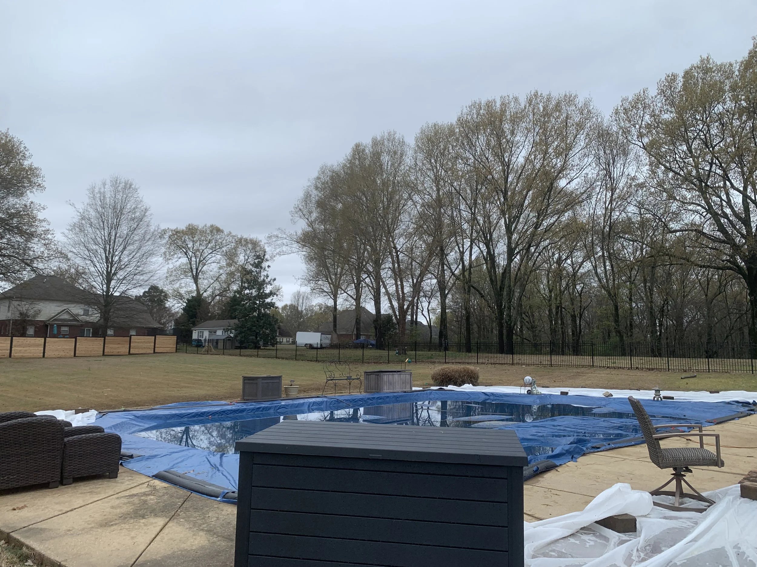 An outdoor scene of a backyard swimming pool covered with a blue tarp, surrounded by patio furniture and trees with fall foliage, on an overcast day.