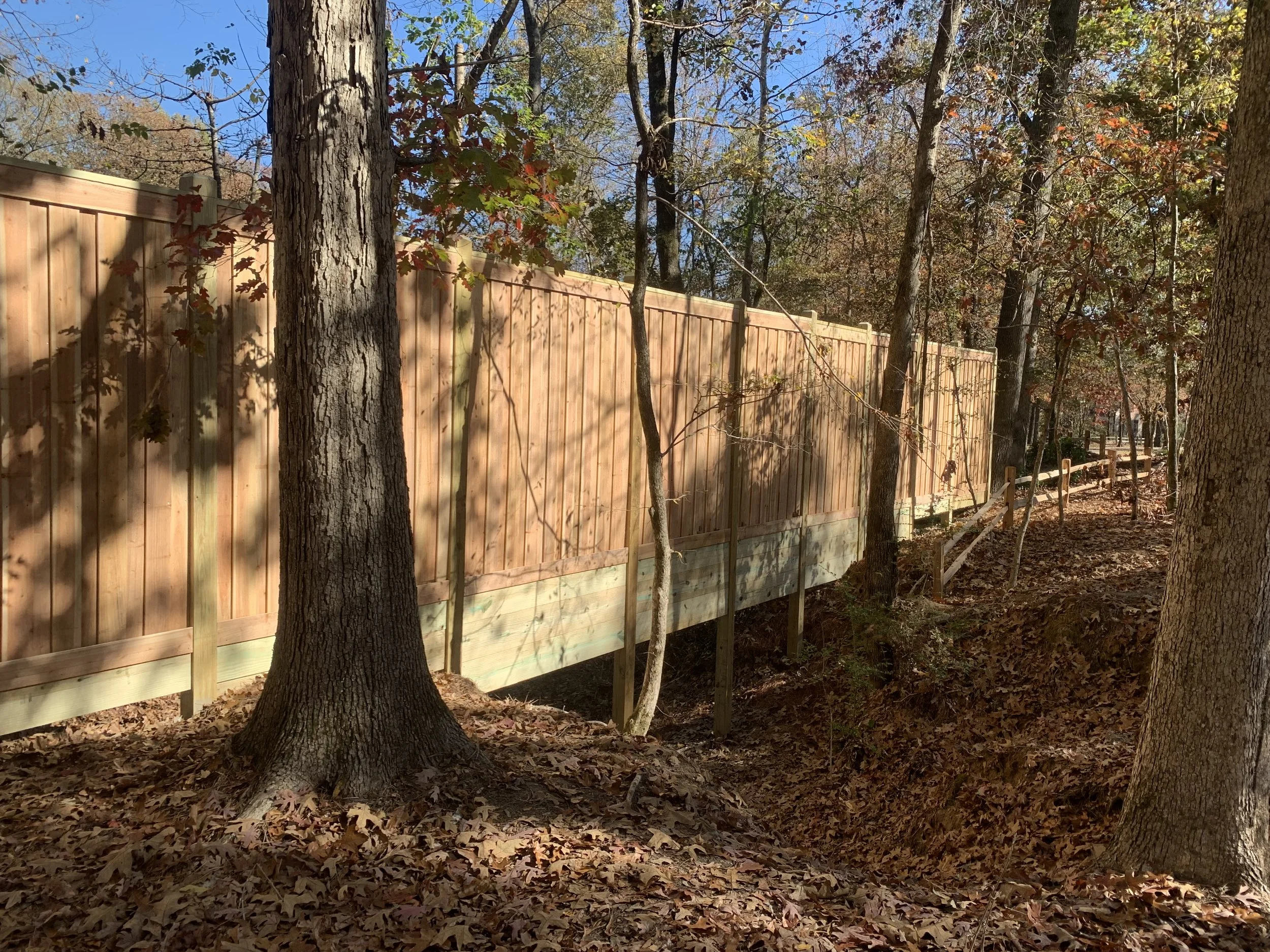 Wooden fence along a wooded area with trees and fallen leaves on the ground.