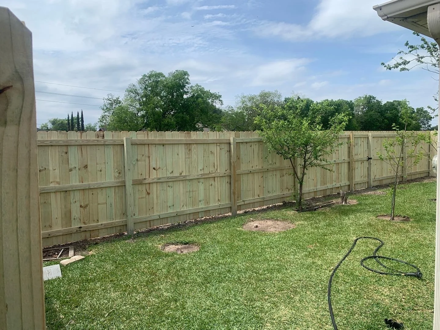 Backyard with a newly installed wooden fence, two small trees, a garden hose on the grass, and a blue sky with some clouds.