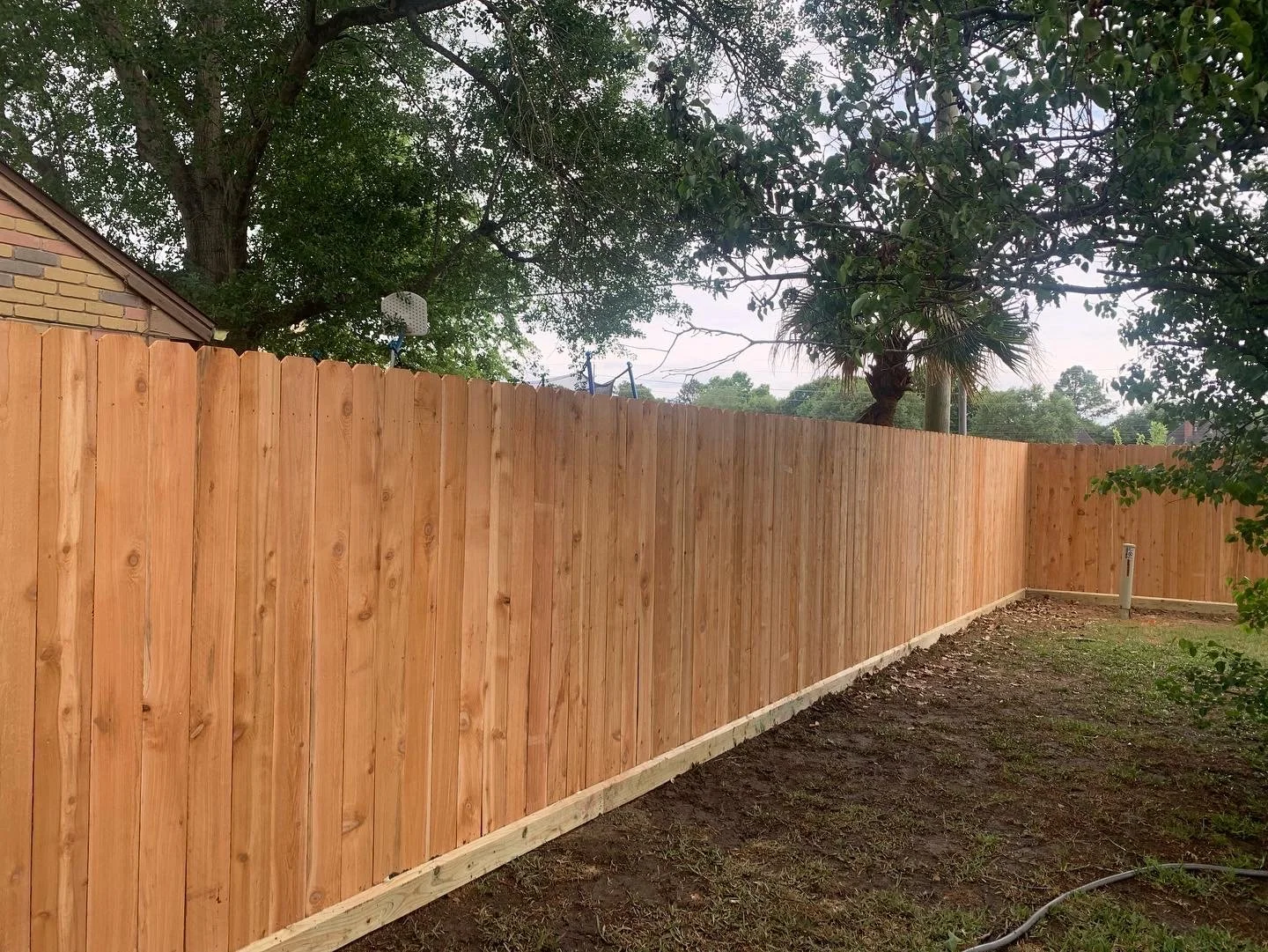 New wooden privacy fence in a backyard with trees and a partially visible house in the background.
