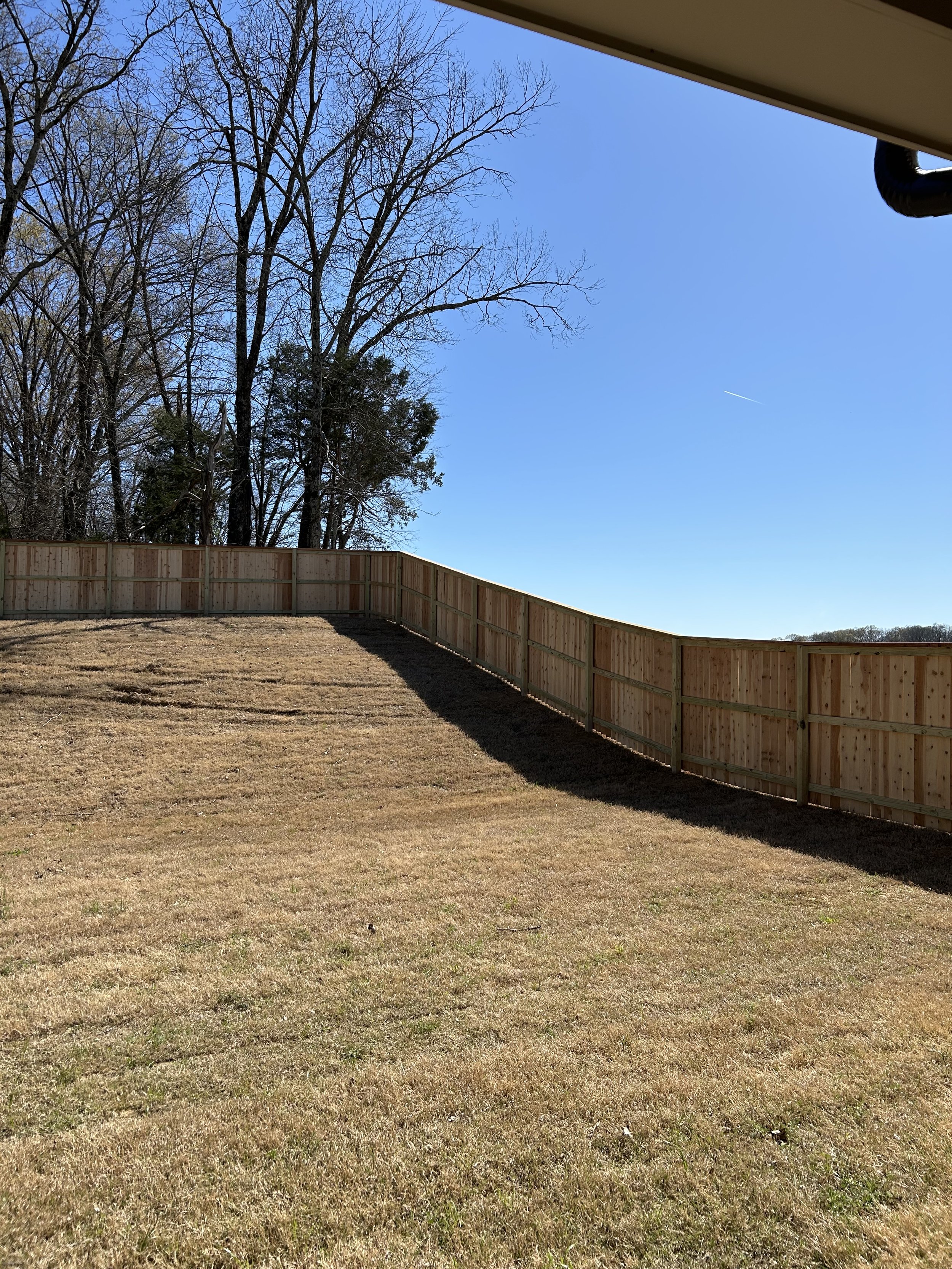 A backyard with a newly installed wooden fence, dry grass, and leafless trees under a clear blue sky.