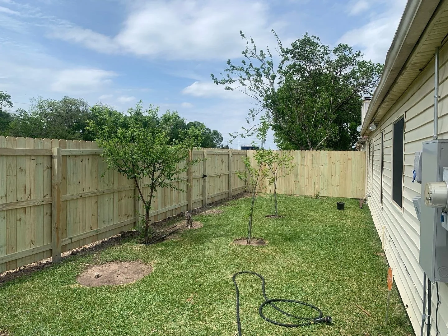 View of a backyard with a wooden fence, three small trees, a green grassy lawn, a garden hose in the foreground, and the exterior of a house on the right side. There are some clouds in the sky.