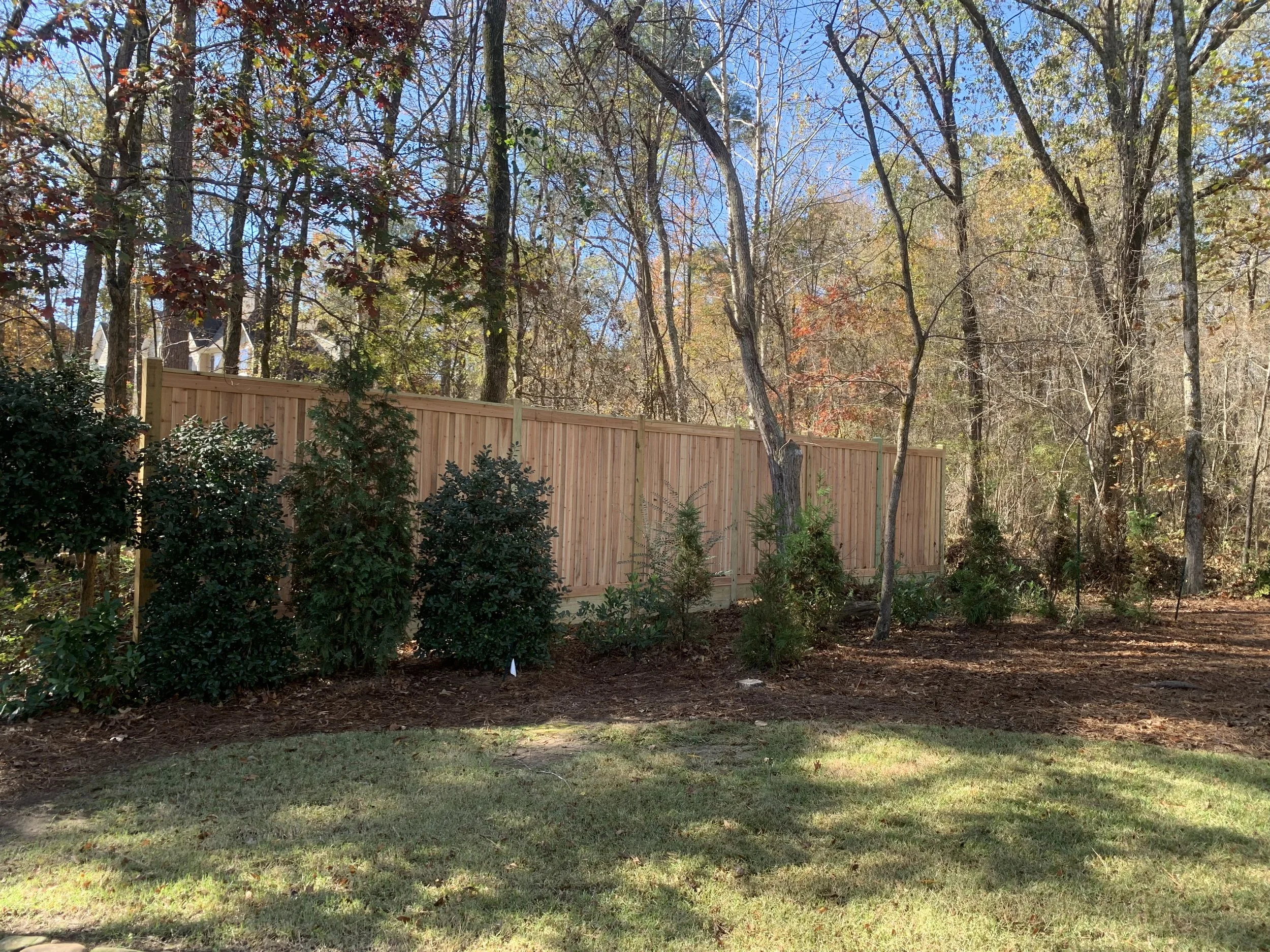 A wooden privacy fence in a backyard with small bushes and trees, with a wooded area in the background and a grass lawn in the foreground.