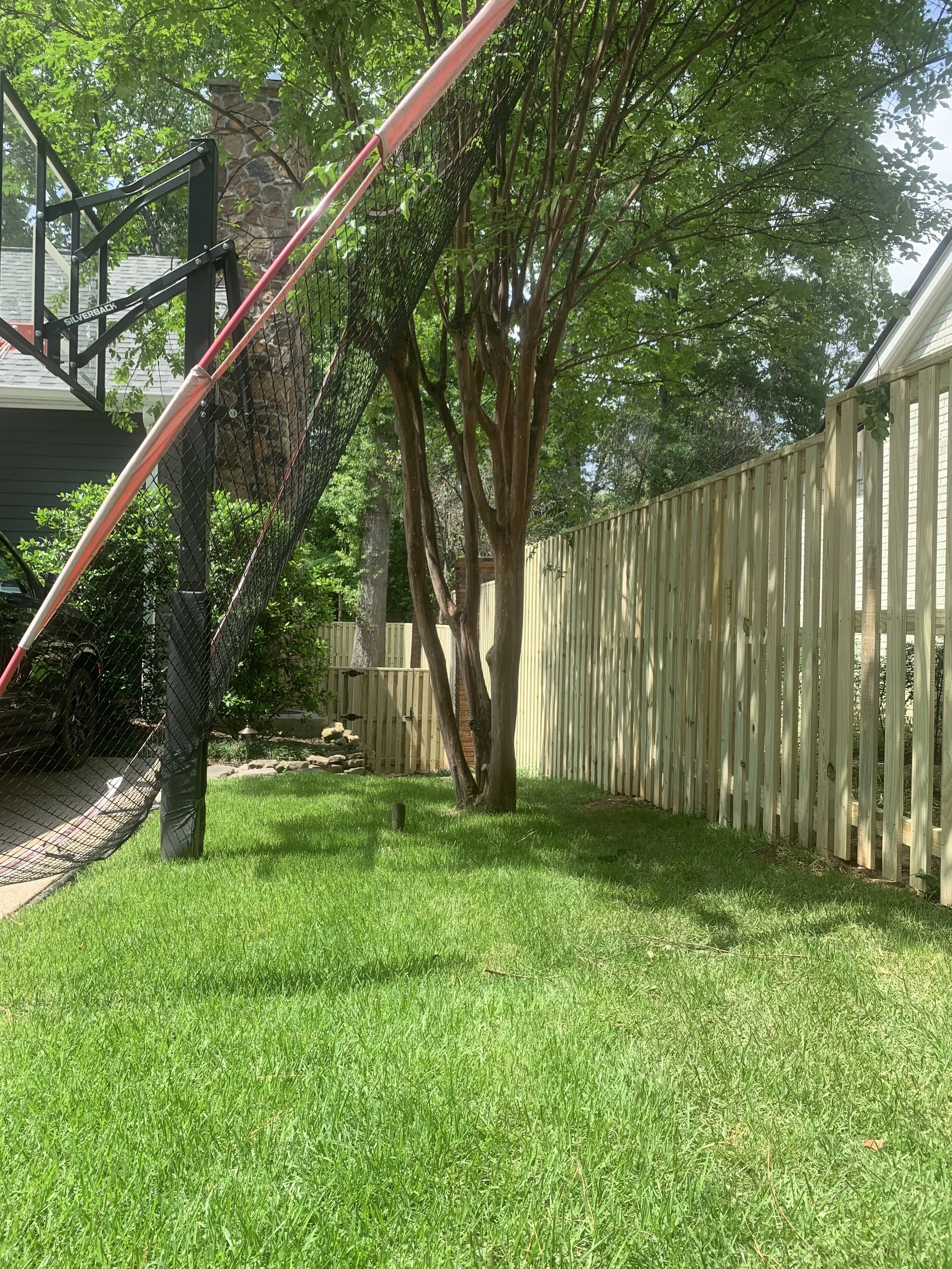 View of a lush green backyard with a wooden fence on the right side, trees providing shade, and a trampoline on the left side.