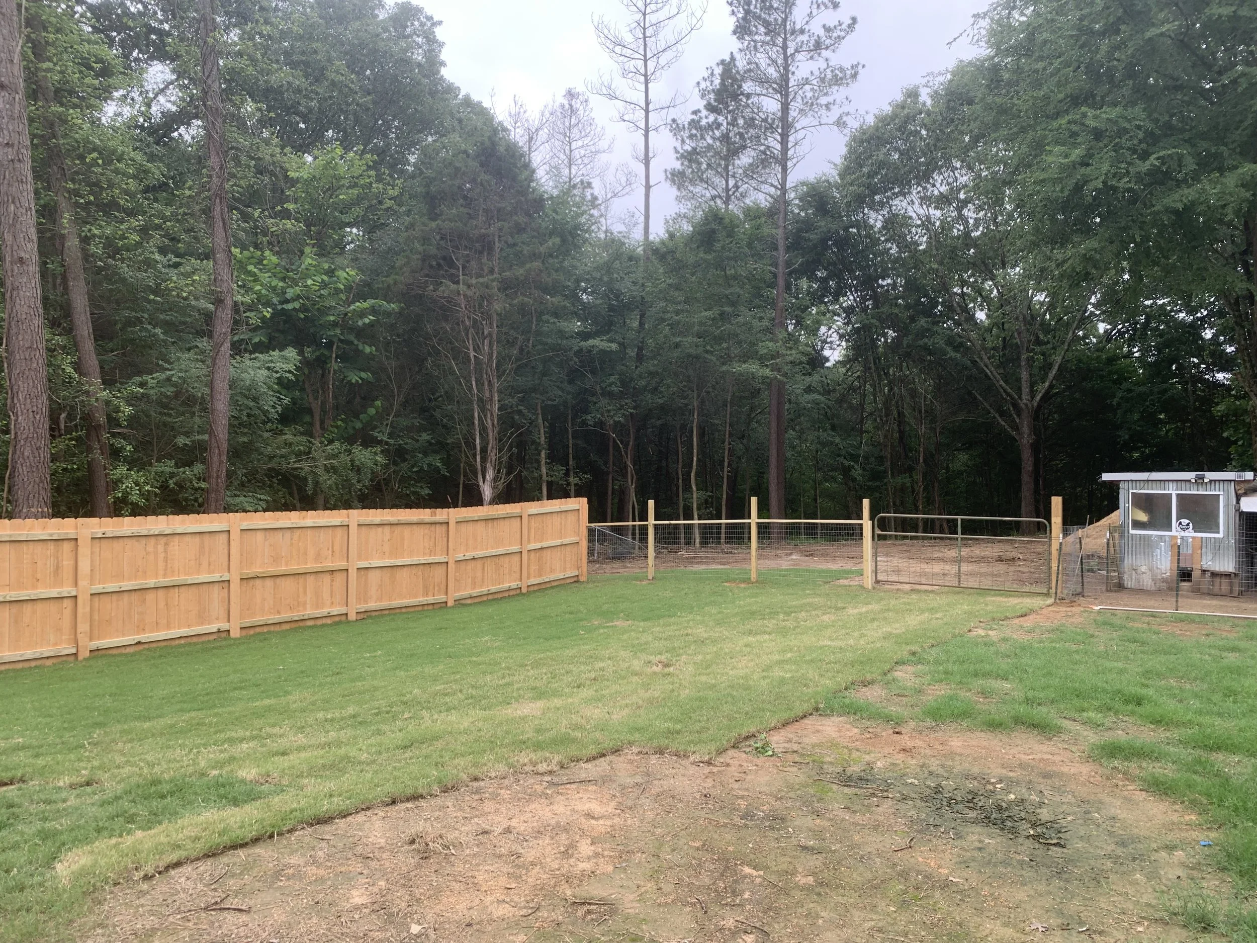 Partially fenced yard with green grass, trees in the background, and a fenced area for a doghouse or shelter on the right side.