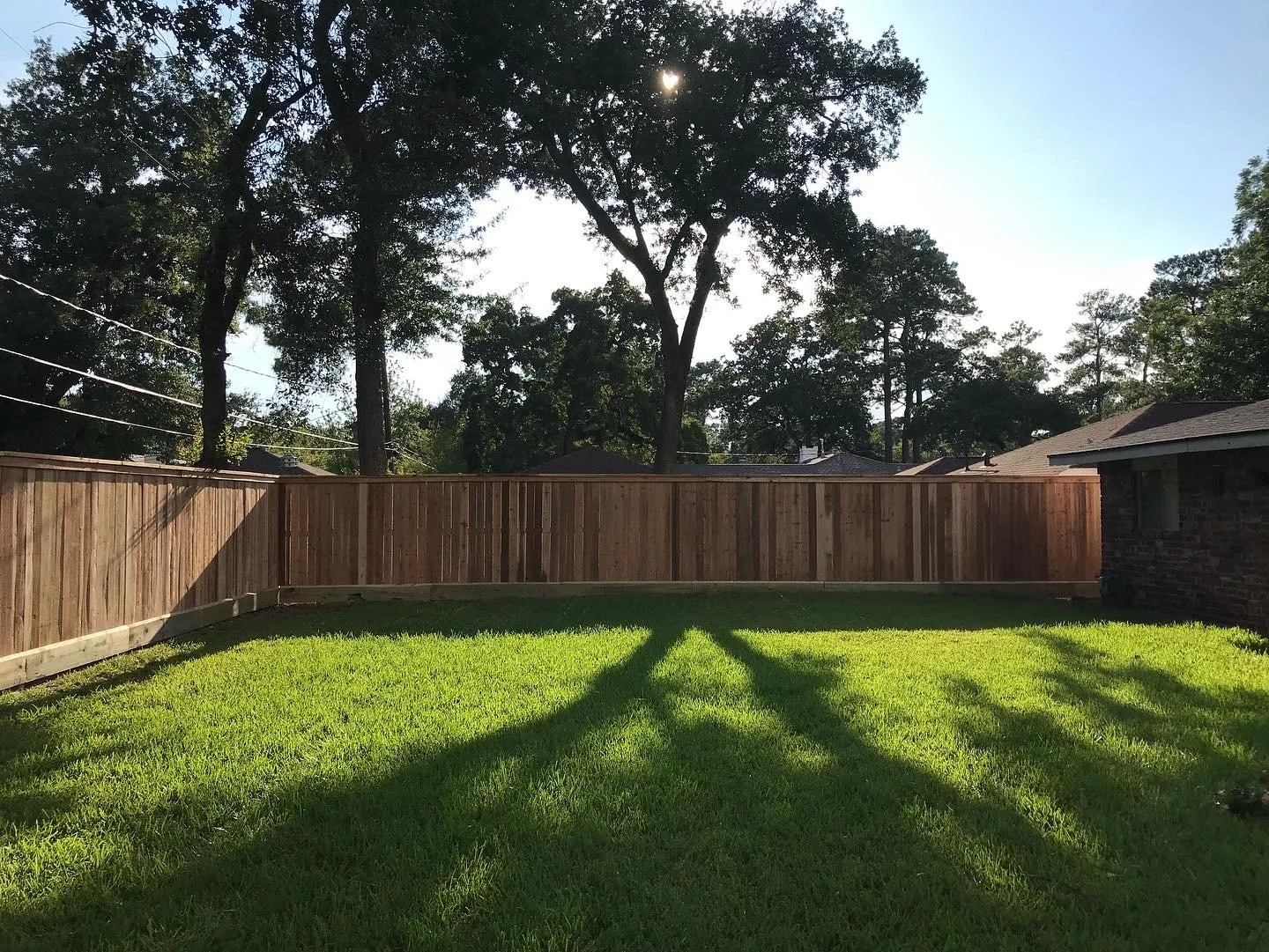 A backyard with a new wooden fence, green grass, and tall trees in the background, sunlight casting shadows on the lawn.