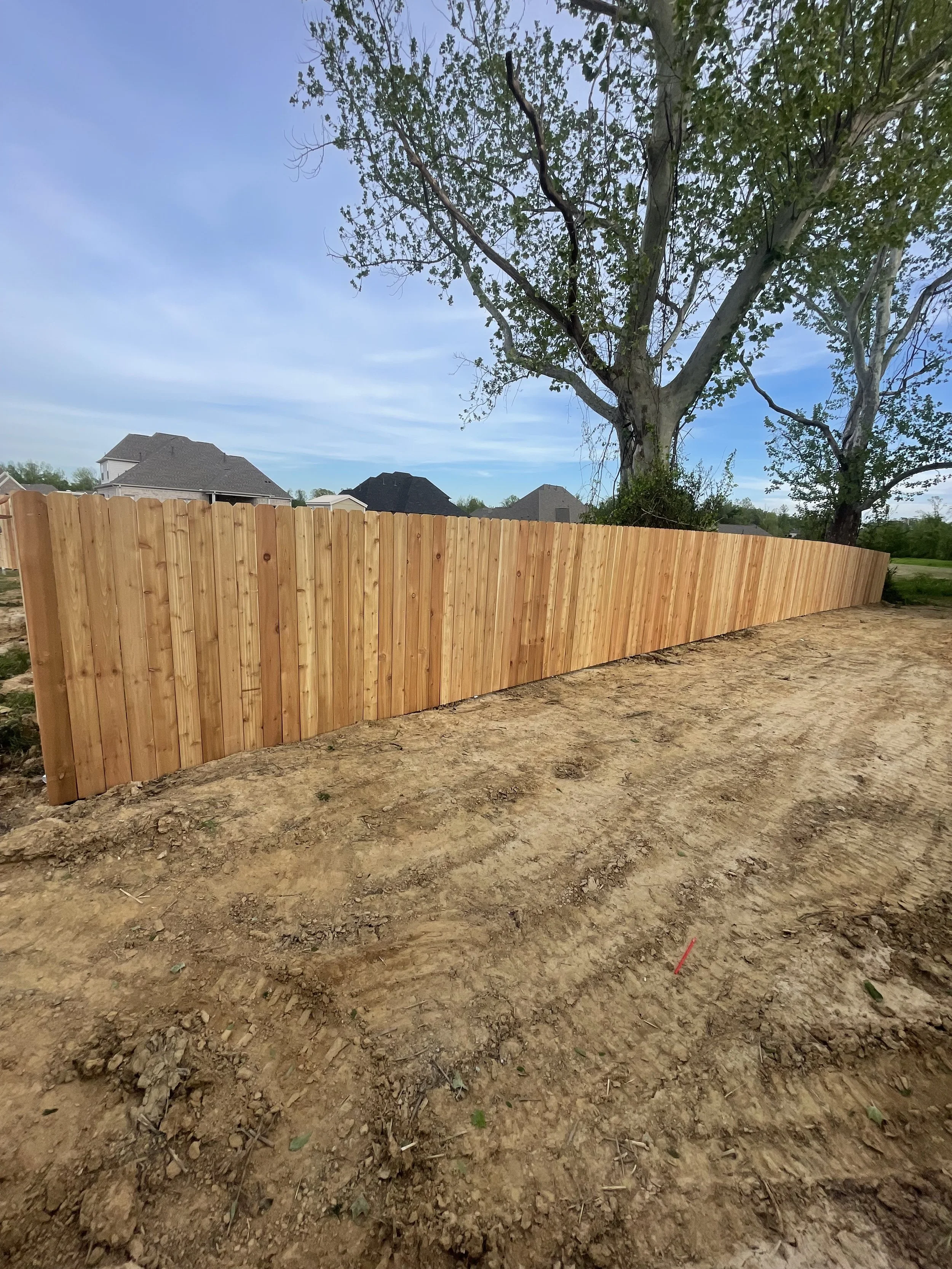 Wooden privacy fence along a dirt yard in a suburban neighborhood, with large trees and houses in the background under a blue sky.