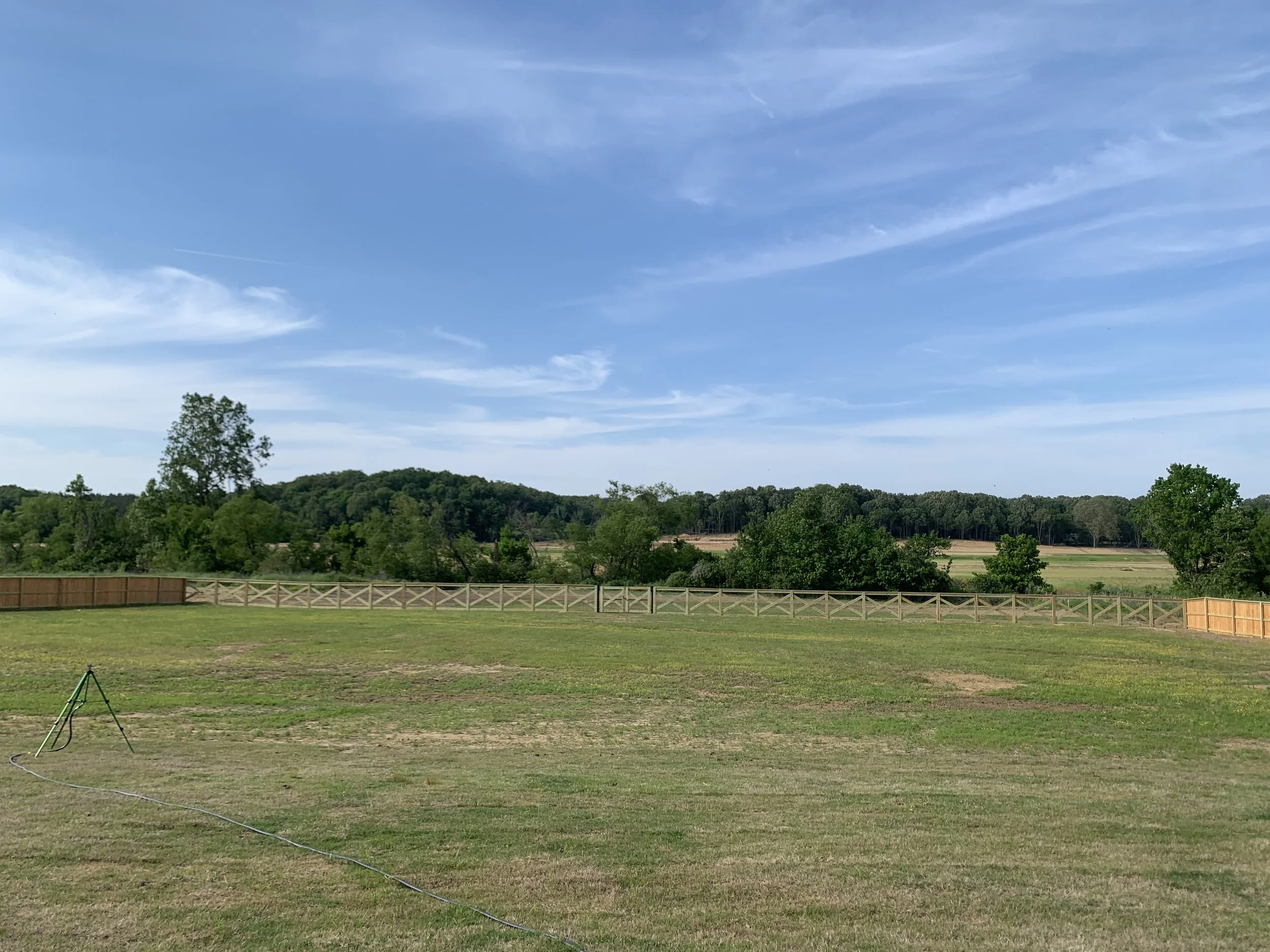 A backyard with a lawn sprinkler, a wooden fence, scattered trees, a hill in the distance, and a blue sky with wispy clouds.