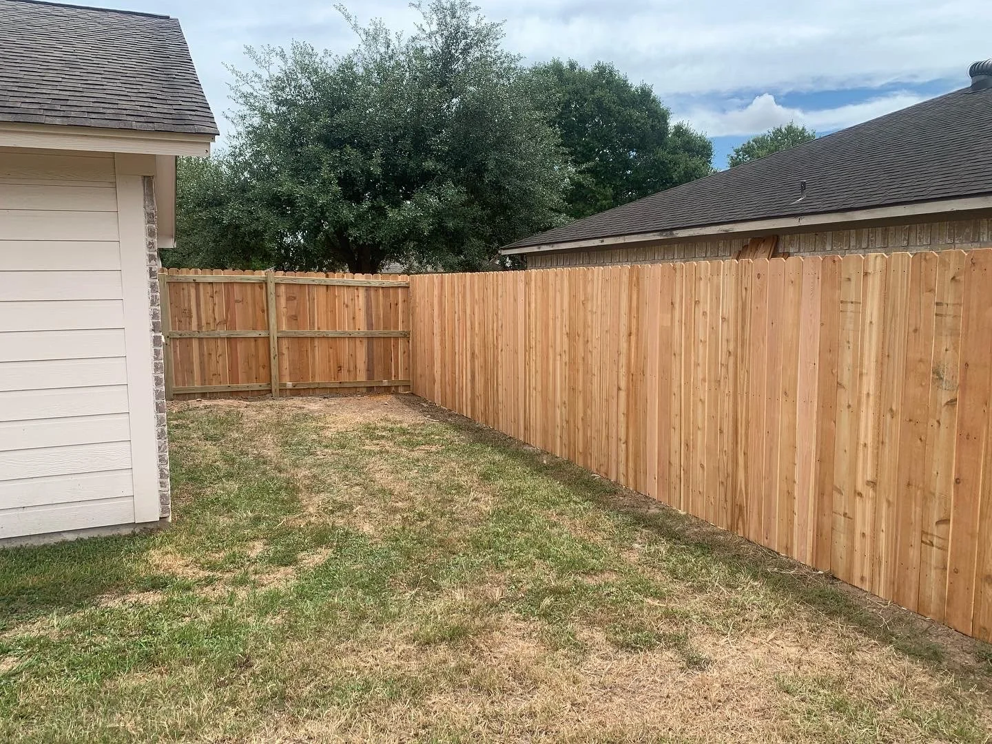 Backyard with new wooden fence, corner of house and neighboring house visible, grass patchy and dry, tree in the background, partly cloudy sky.