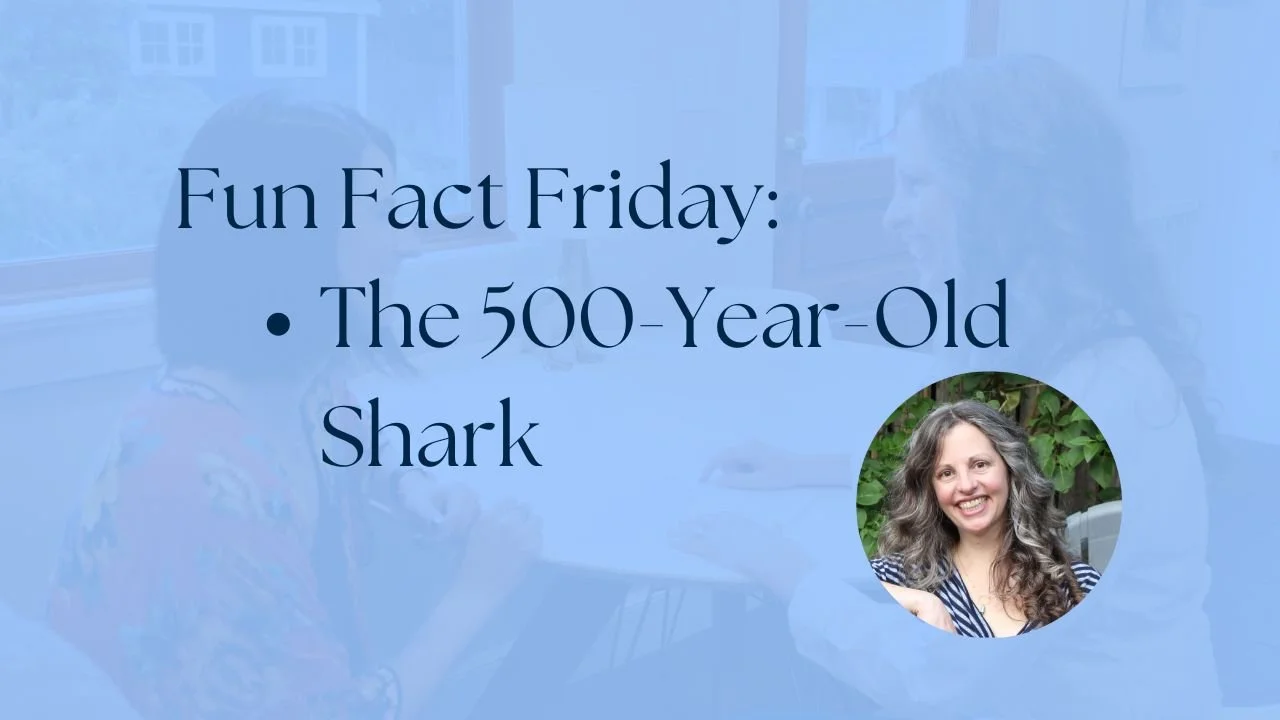The 500-Year-Old Shark: What Longevity Teaches Us About Living Well