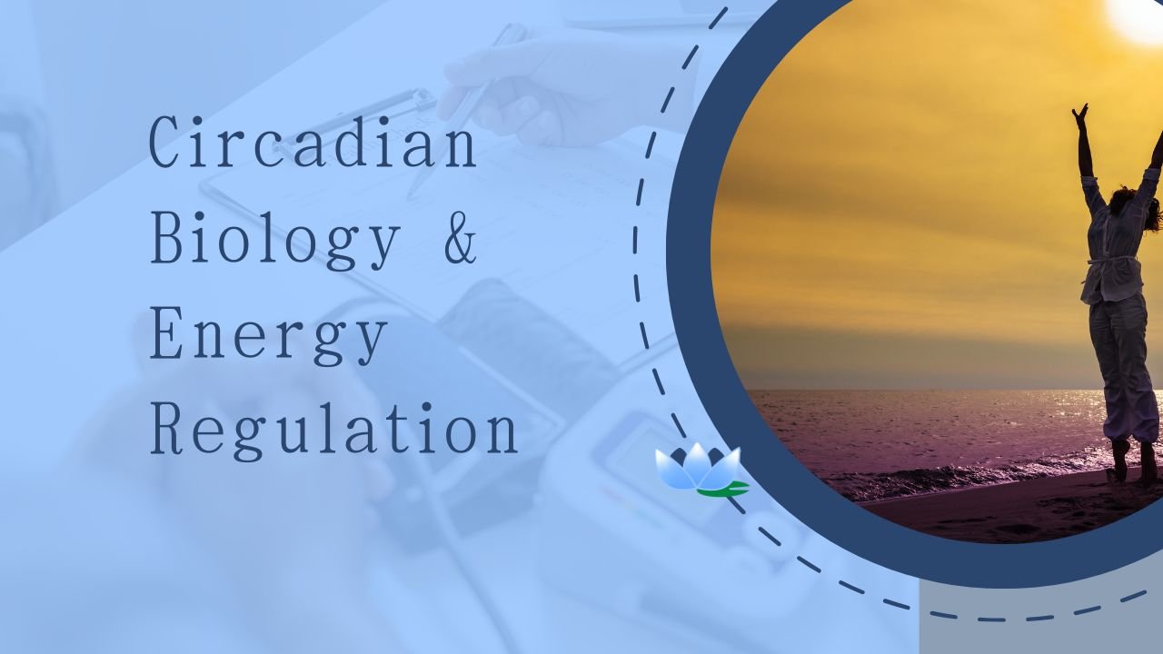 The Role of Morning Routines