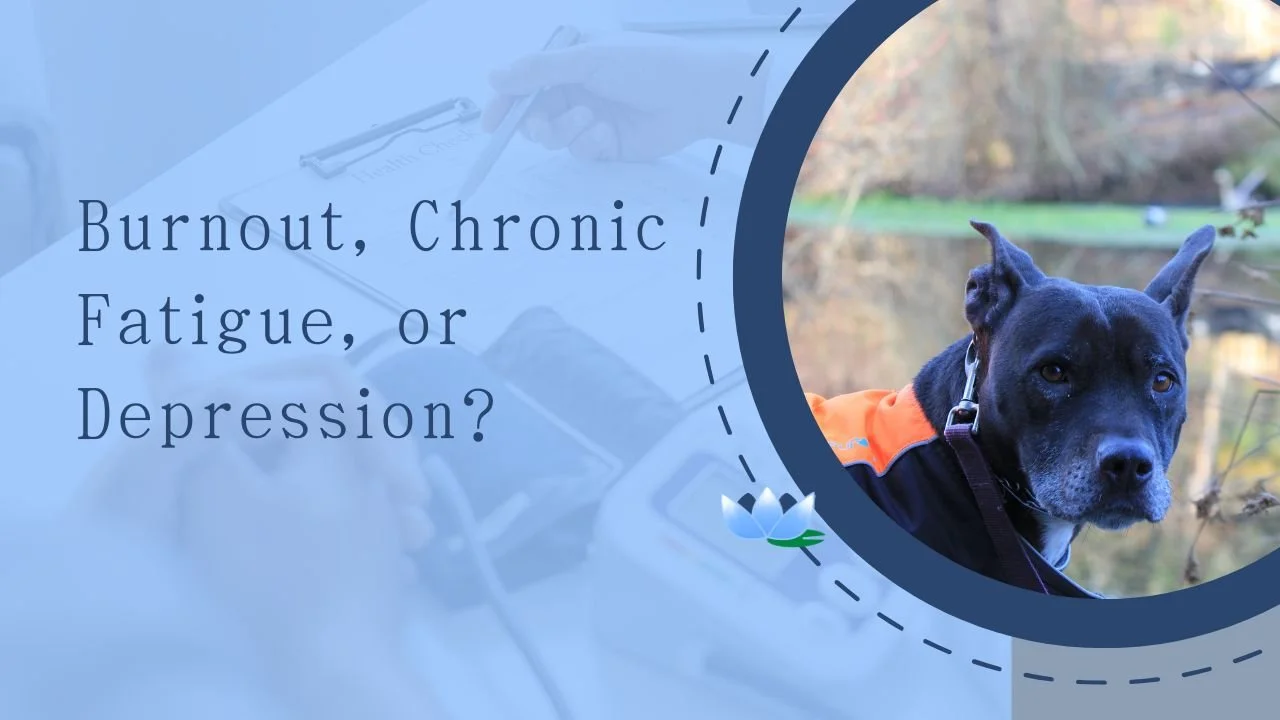 Burnout, Chronic Fatigue, or Depression? How to Tell the Difference
