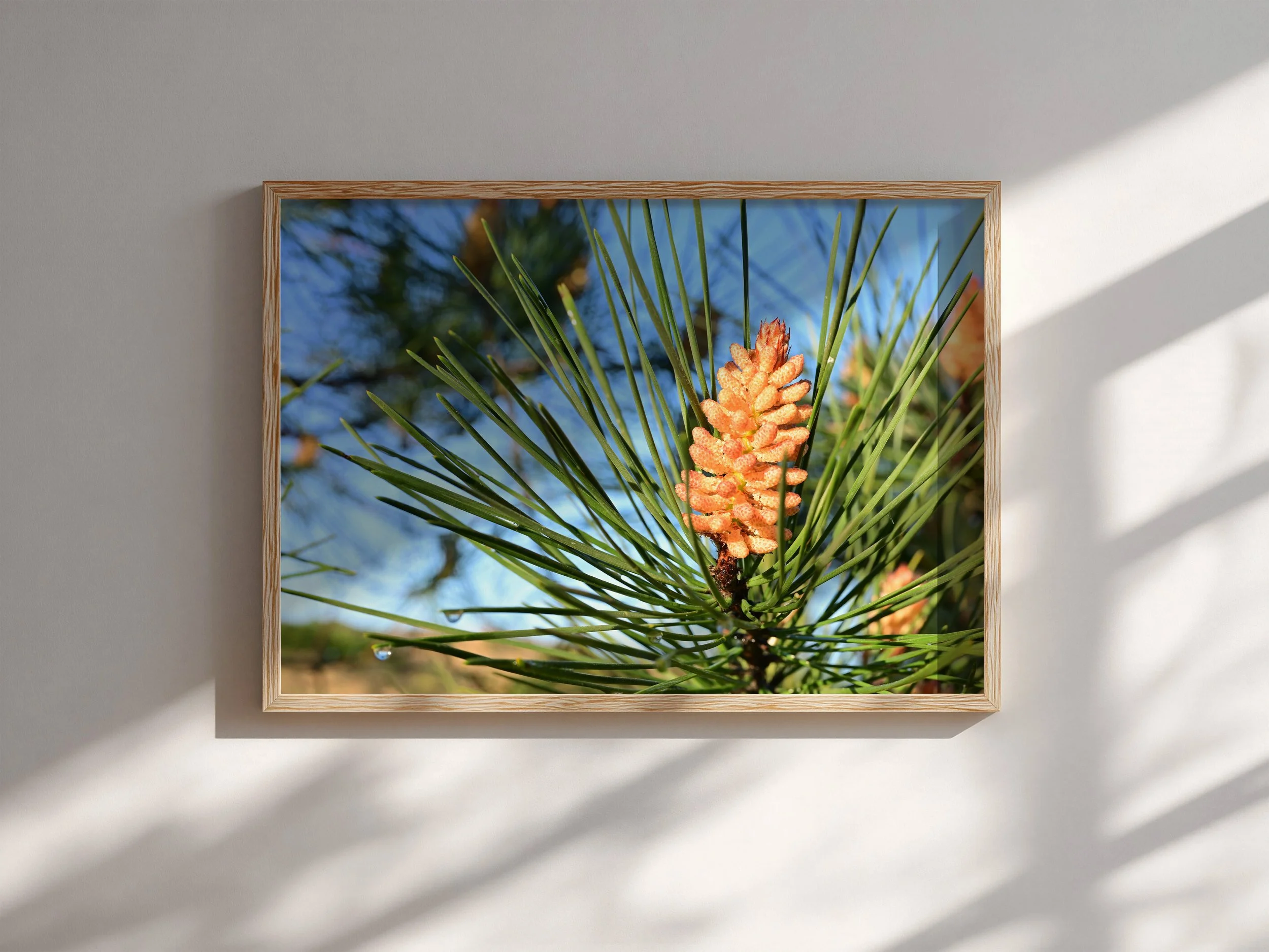 Thriving-Pine-Mockup.jpg